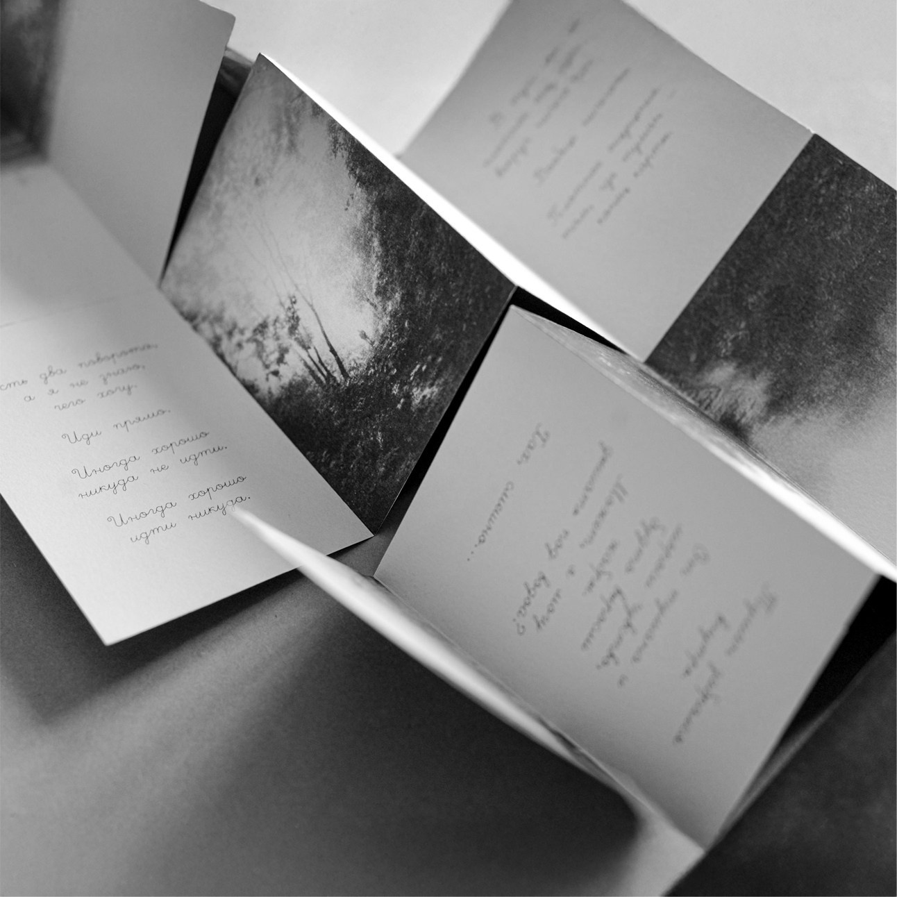 ЗИНЫ. Дарья Пянзина | междисциплинарная художница