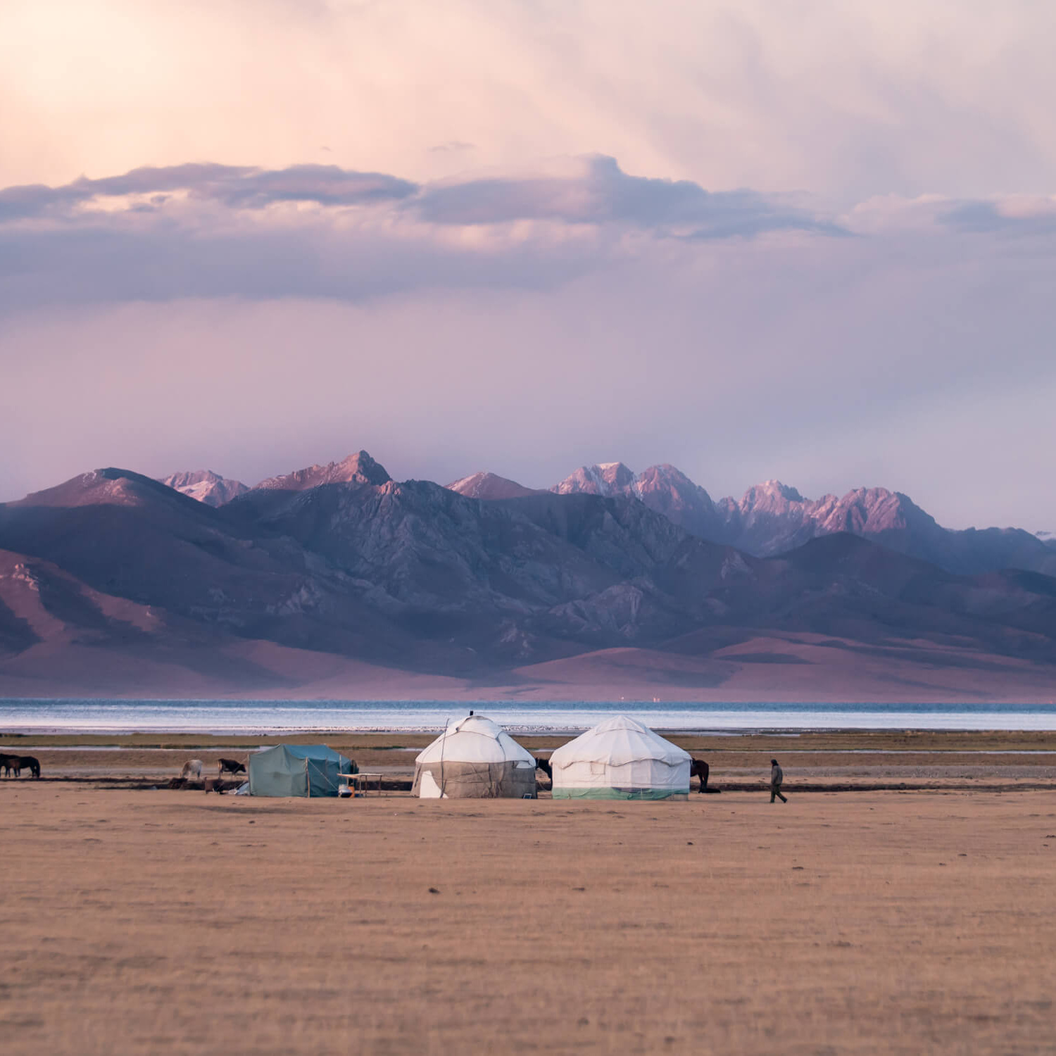 Фотоэкспедиция в Киргизию 3 сентября 2022. Фотограф Константин Шамин