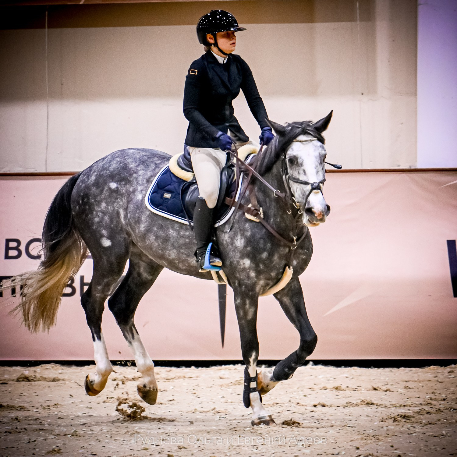 2025.10.25 — КСК Виват, Россия!. ТУРНИРНАЯ КОННАЯ ФОТОГРАФИЯ, Руднева Ольга и Евгений Адеев