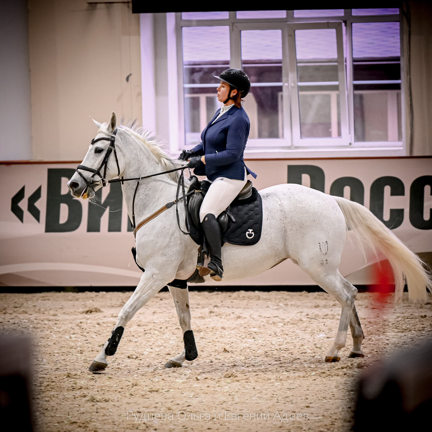 2025.10.25 — КСК Виват, Россия!. ТУРНИРНАЯ КОННАЯ ФОТОГРАФИЯ, Руднева Ольга и Евгений Адеев