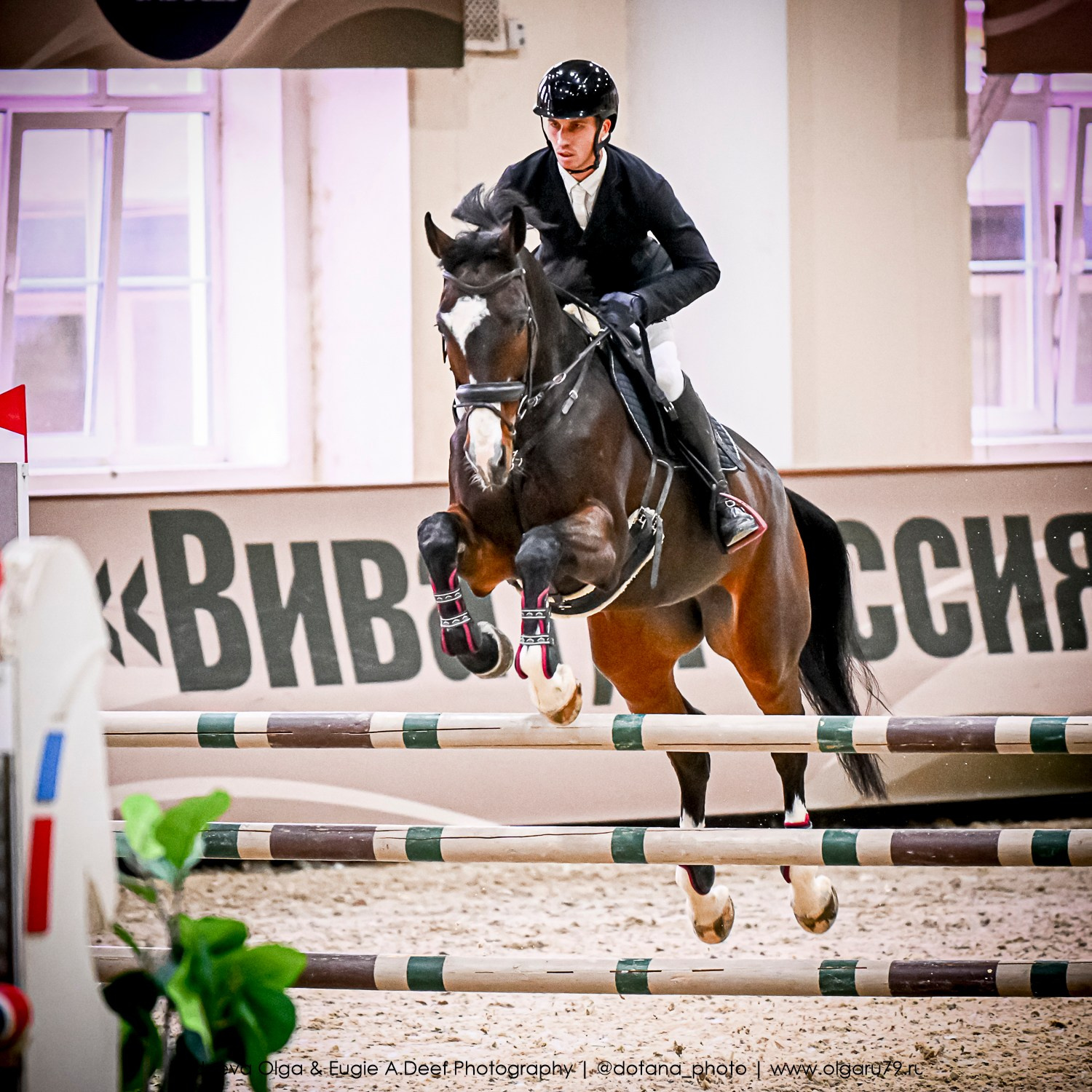 2025.10.26 — КСК Виват, Россия! конкур. ТУРНИРНАЯ КОННАЯ ФОТОГРАФИЯ, Руднева Ольга и Евгений Адеев