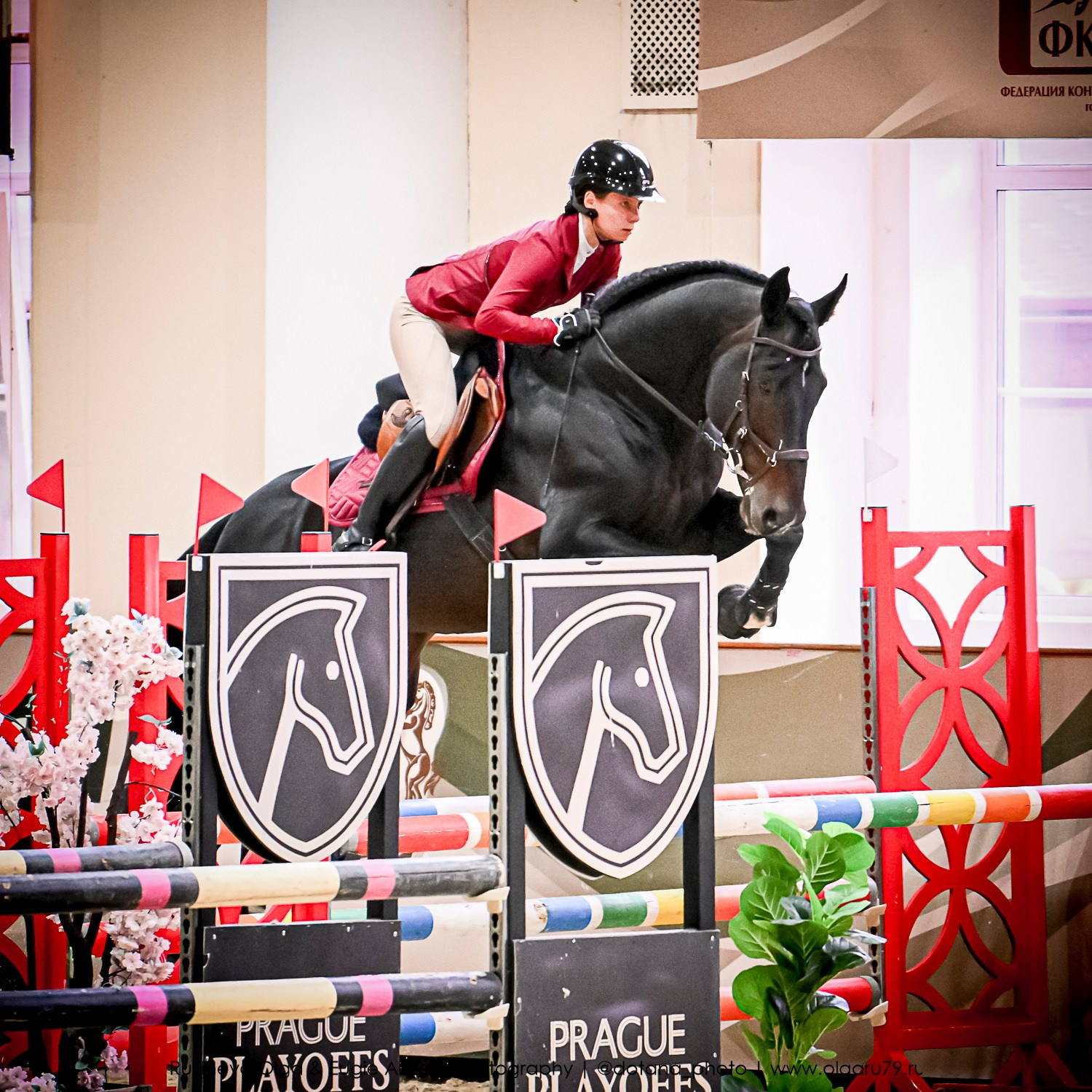 2025.10.26 — КСК Виват, Россия! конкур. ТУРНИРНАЯ КОННАЯ ФОТОГРАФИЯ, Руднева Ольга и Евгений Адеев