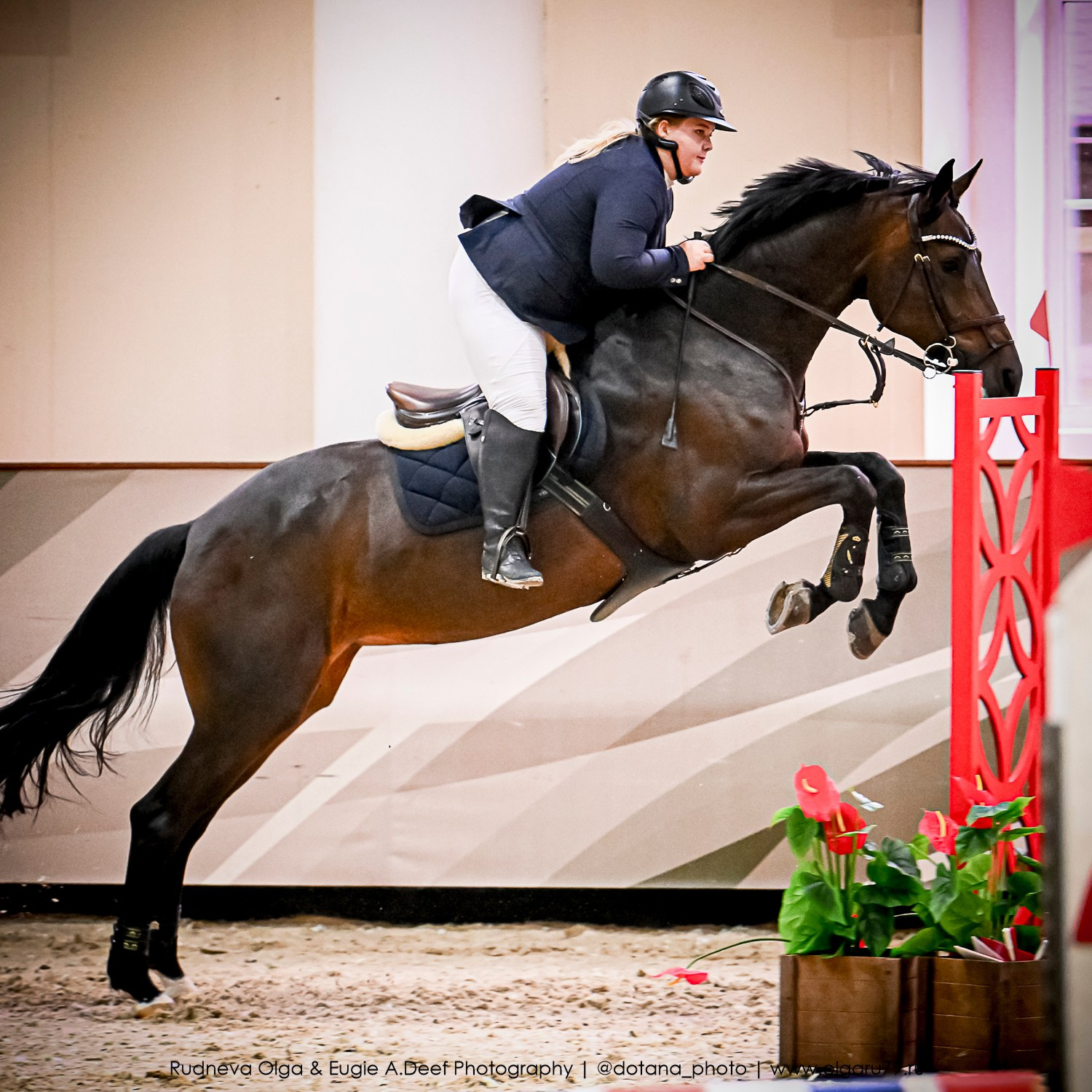 2025.10.26 — КСК Виват, Россия! конкур. ТУРНИРНАЯ КОННАЯ ФОТОГРАФИЯ, Руднева Ольга и Евгений Адеев