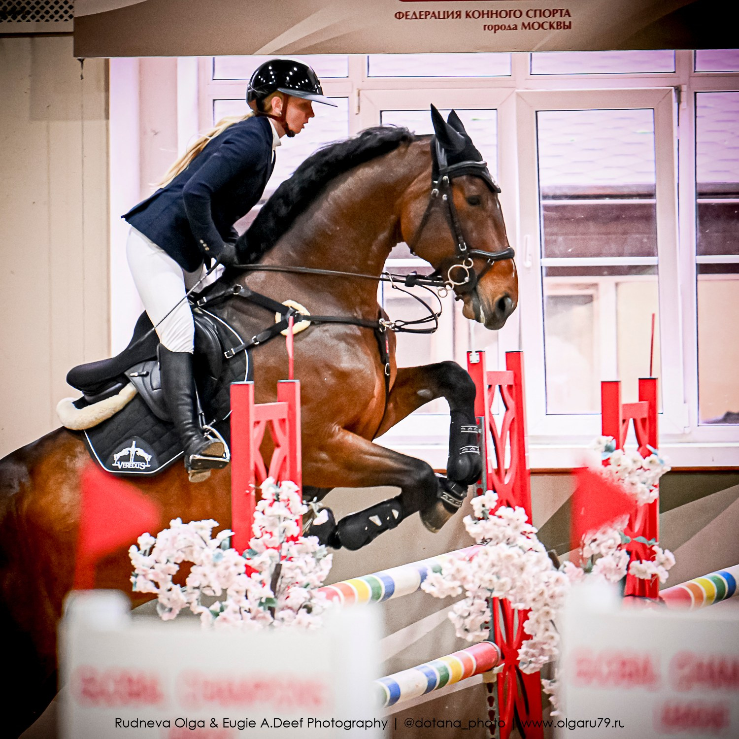 2025.10.26 — КСК Виват, Россия! конкур. ТУРНИРНАЯ КОННАЯ ФОТОГРАФИЯ, Руднева Ольга и Евгений Адеев