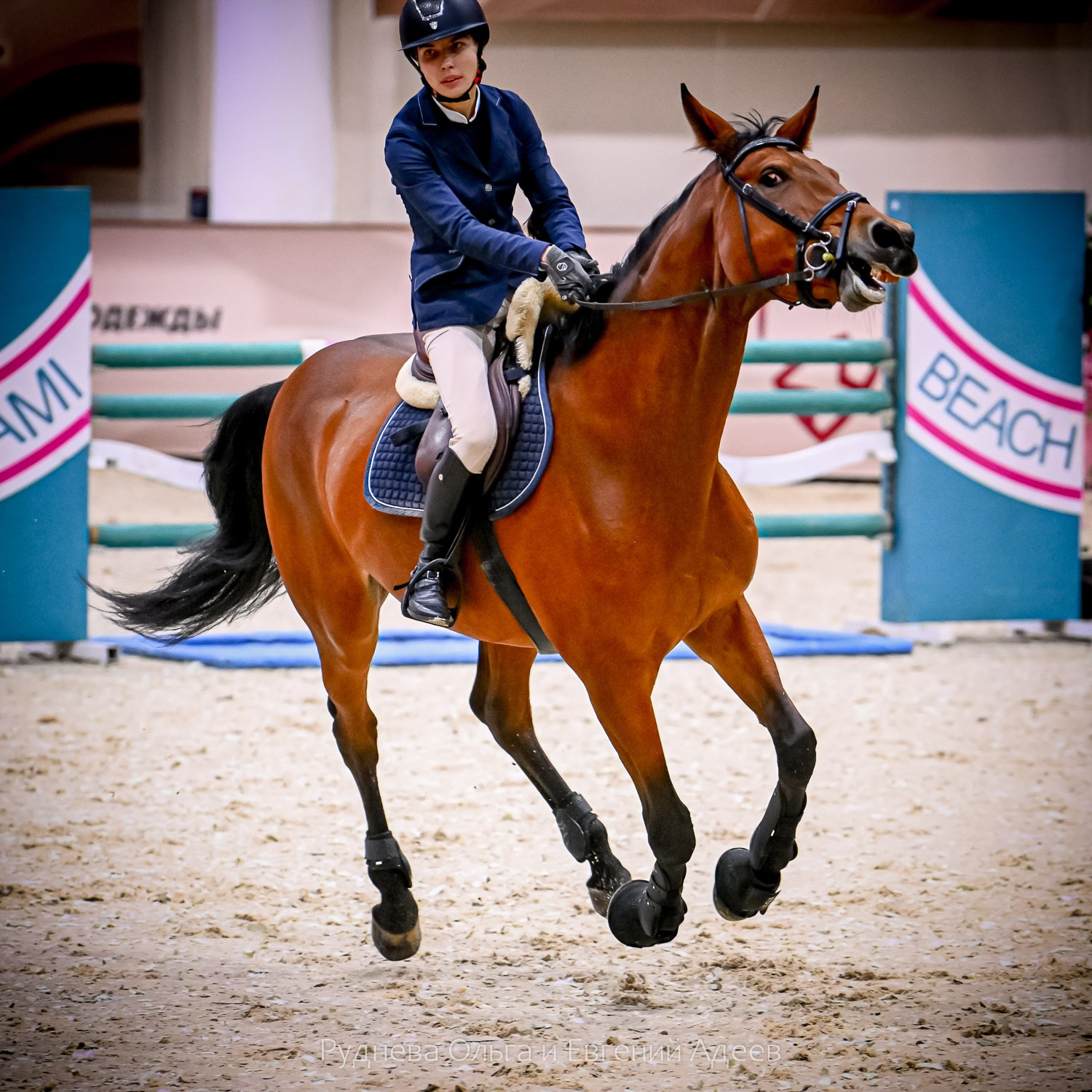 2025.10.25 — КСК Виват, Россия!. ТУРНИРНАЯ КОННАЯ ФОТОГРАФИЯ, Руднева Ольга и Евгений Адеев