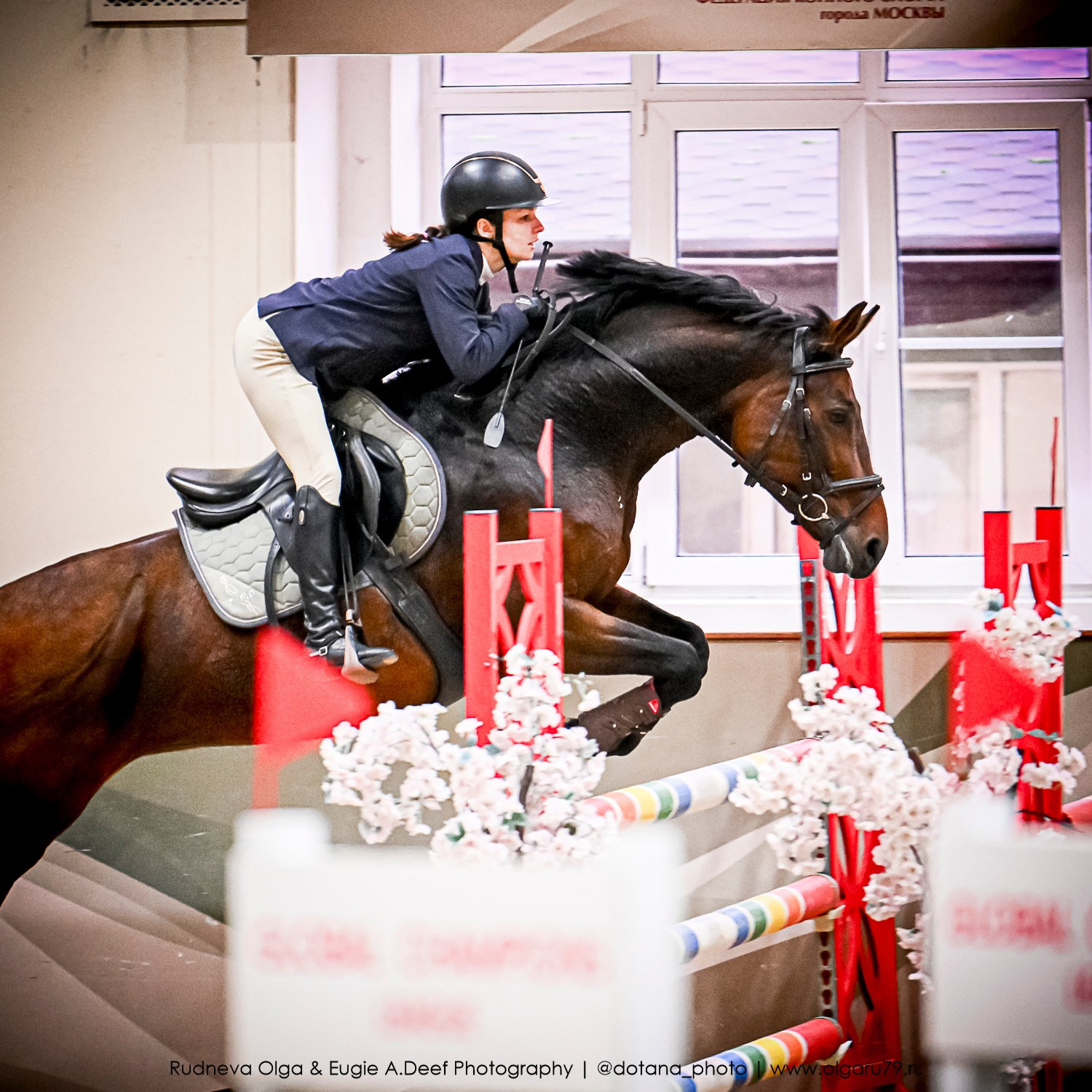 2025.10.26 — КСК Виват, Россия! конкур. ТУРНИРНАЯ КОННАЯ ФОТОГРАФИЯ, Руднева Ольга и Евгений Адеев