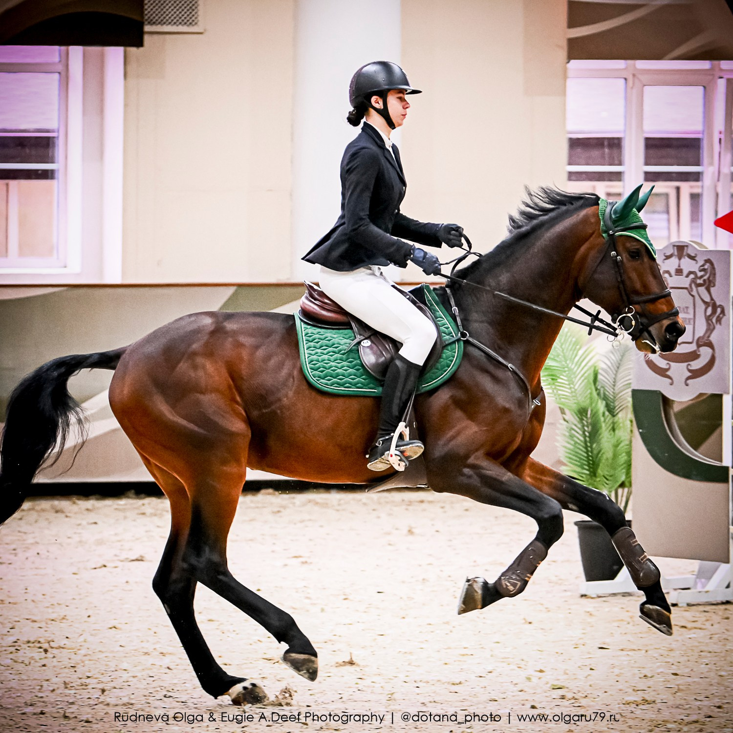 2025.10.26 — КСК Виват, Россия! конкур. ТУРНИРНАЯ КОННАЯ ФОТОГРАФИЯ, Руднева Ольга и Евгений Адеев