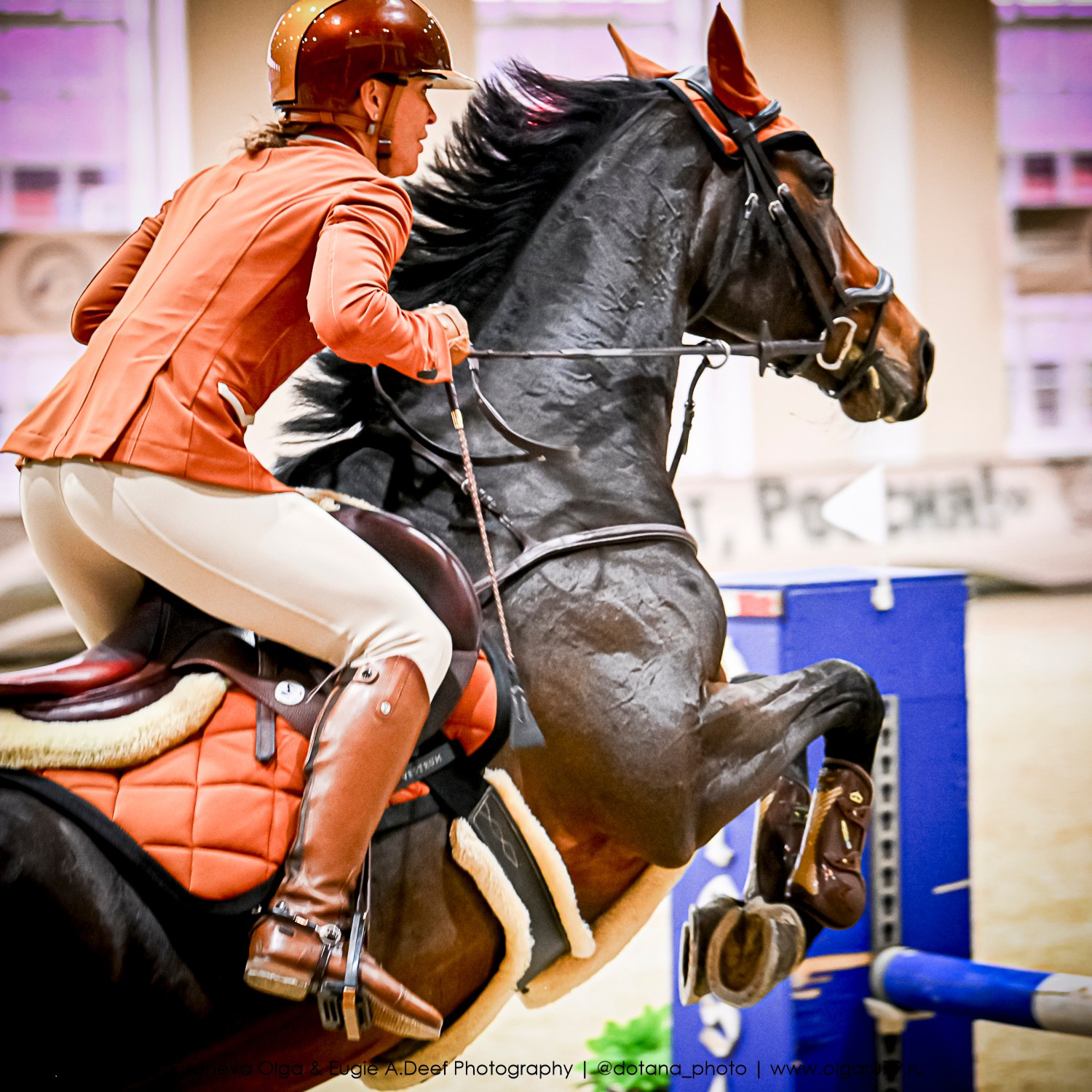 2025.10.26 — КСК Виват, Россия! конкур. ТУРНИРНАЯ КОННАЯ ФОТОГРАФИЯ, Руднева Ольга и Евгений Адеев