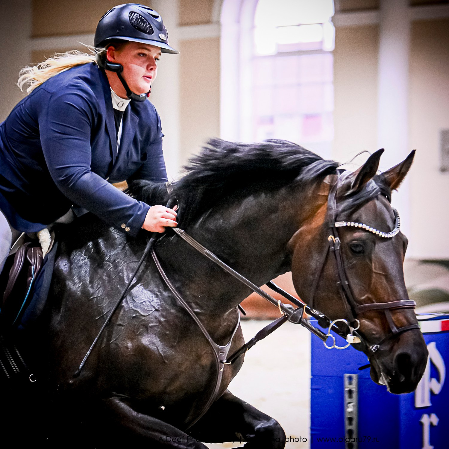 2025.10.26 — КСК Виват, Россия! конкур. ТУРНИРНАЯ КОННАЯ ФОТОГРАФИЯ, Руднева Ольга и Евгений Адеев