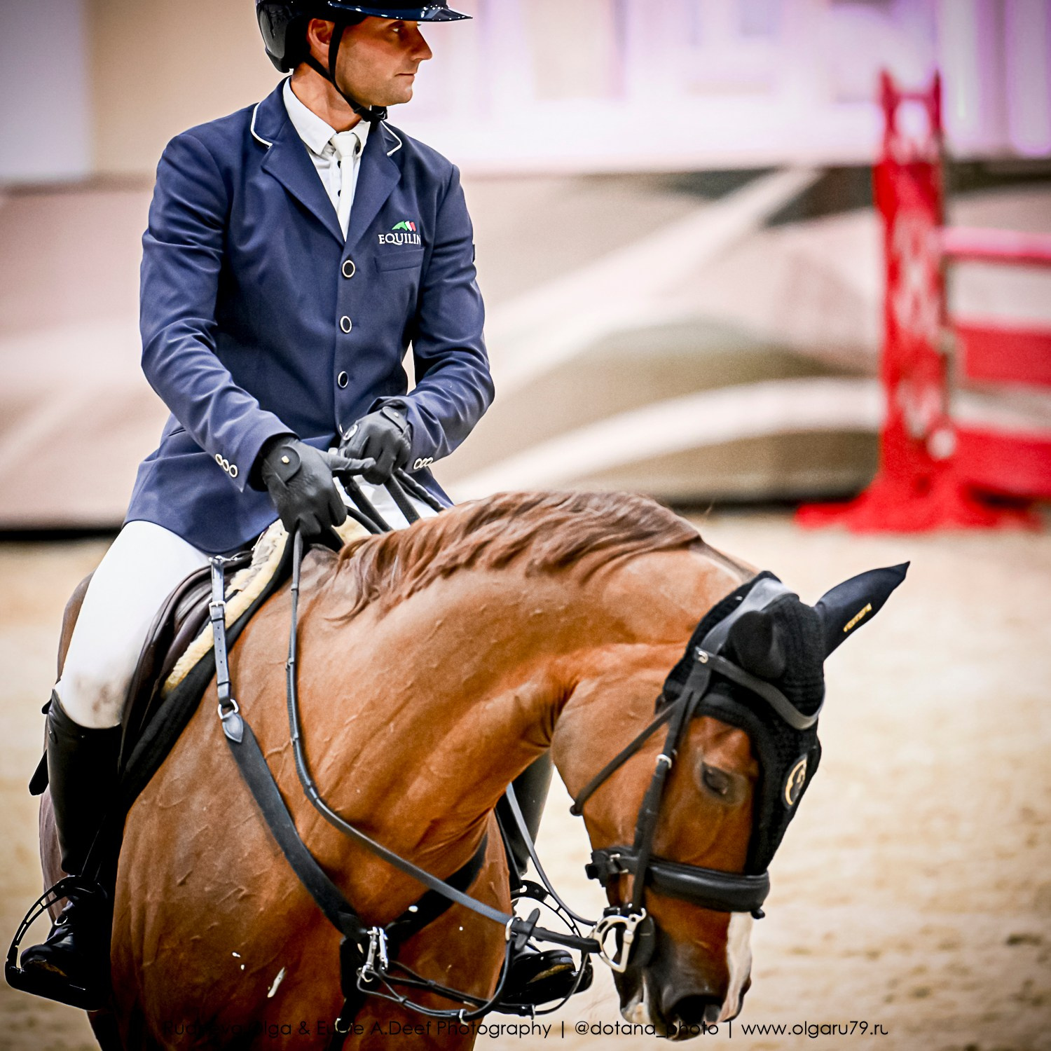 2025.10.26 — КСК Виват, Россия! конкур. ТУРНИРНАЯ КОННАЯ ФОТОГРАФИЯ, Руднева Ольга и Евгений Адеев