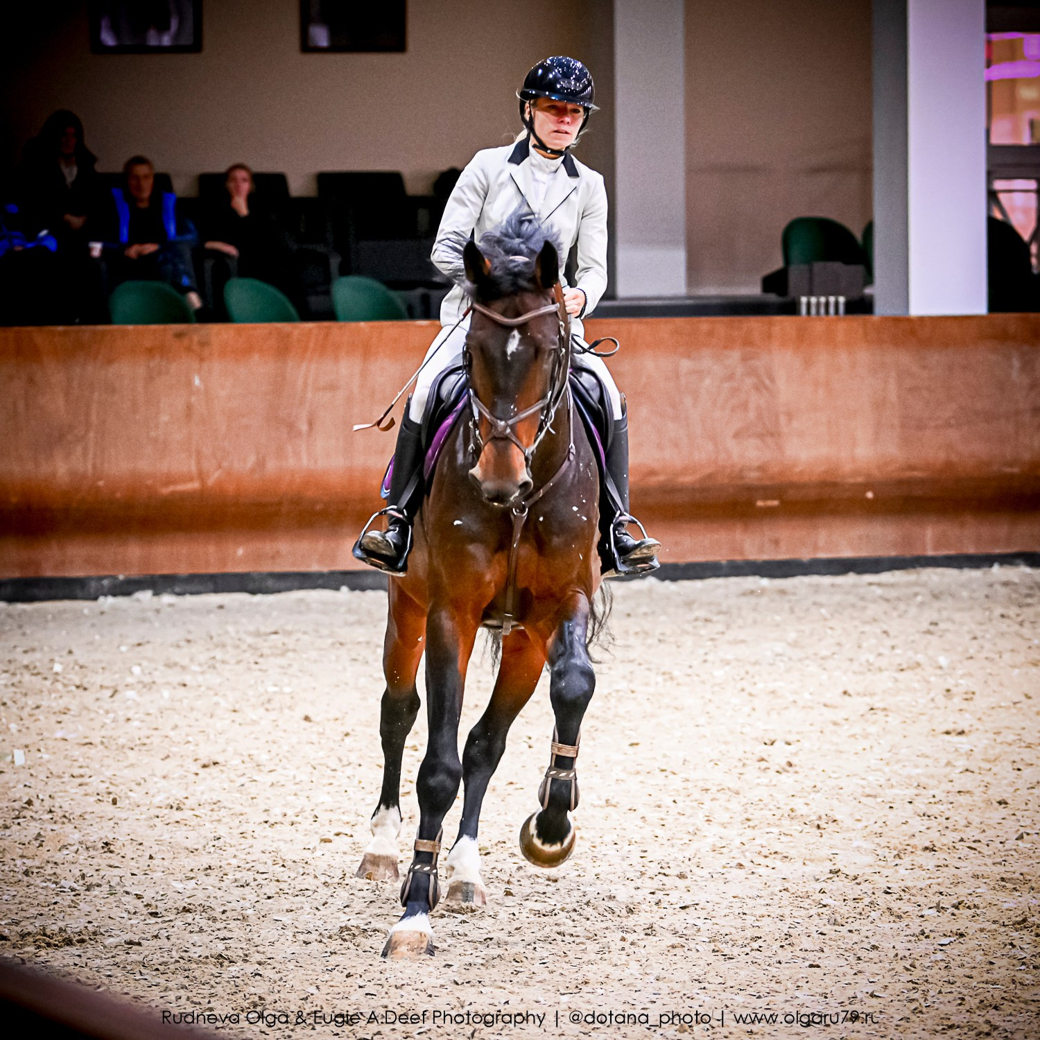2025.10.26 — КСК Виват, Россия! конкур. ТУРНИРНАЯ КОННАЯ ФОТОГРАФИЯ, Руднева Ольга и Евгений Адеев