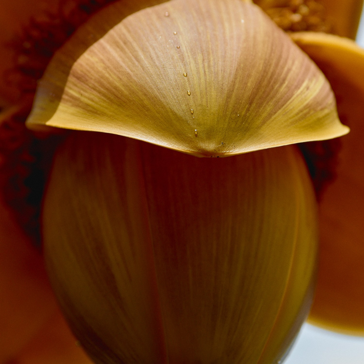 TRAVEL. EVGENYA PERESADOVA