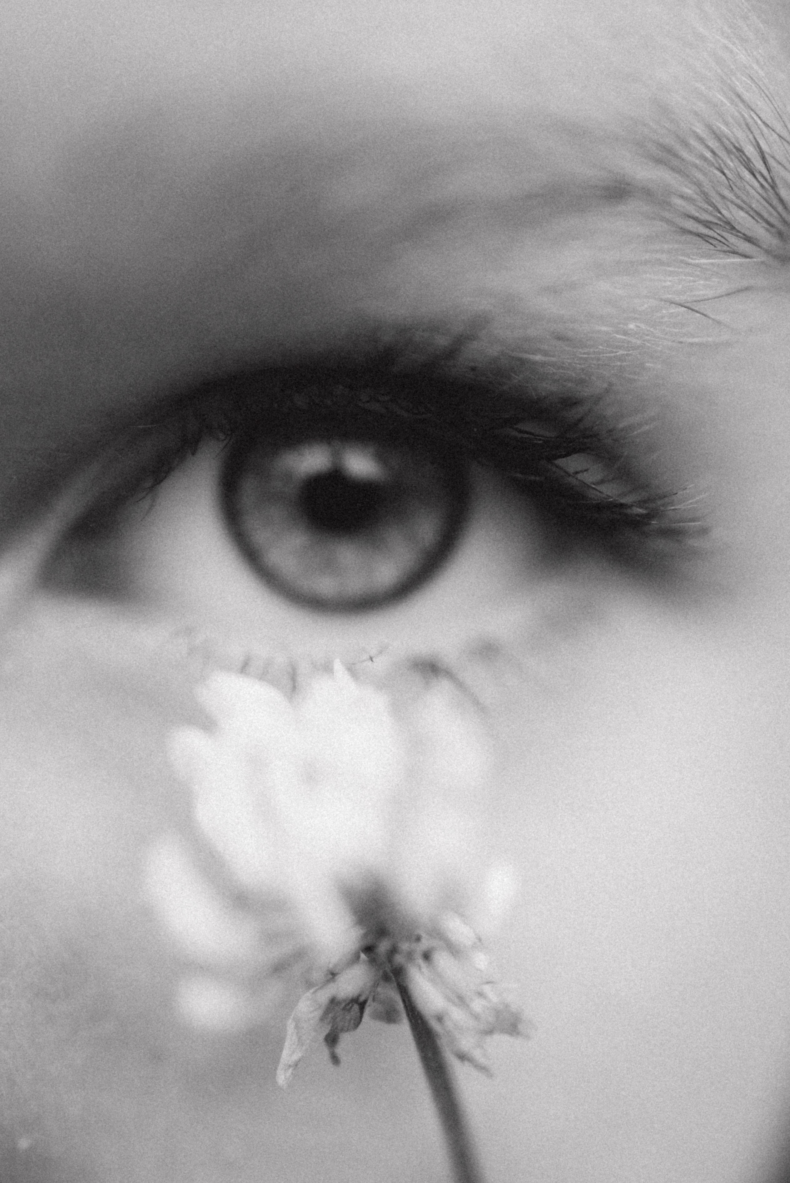 Обучение. Семейный фотограф в Казани Татьяна Тюрина