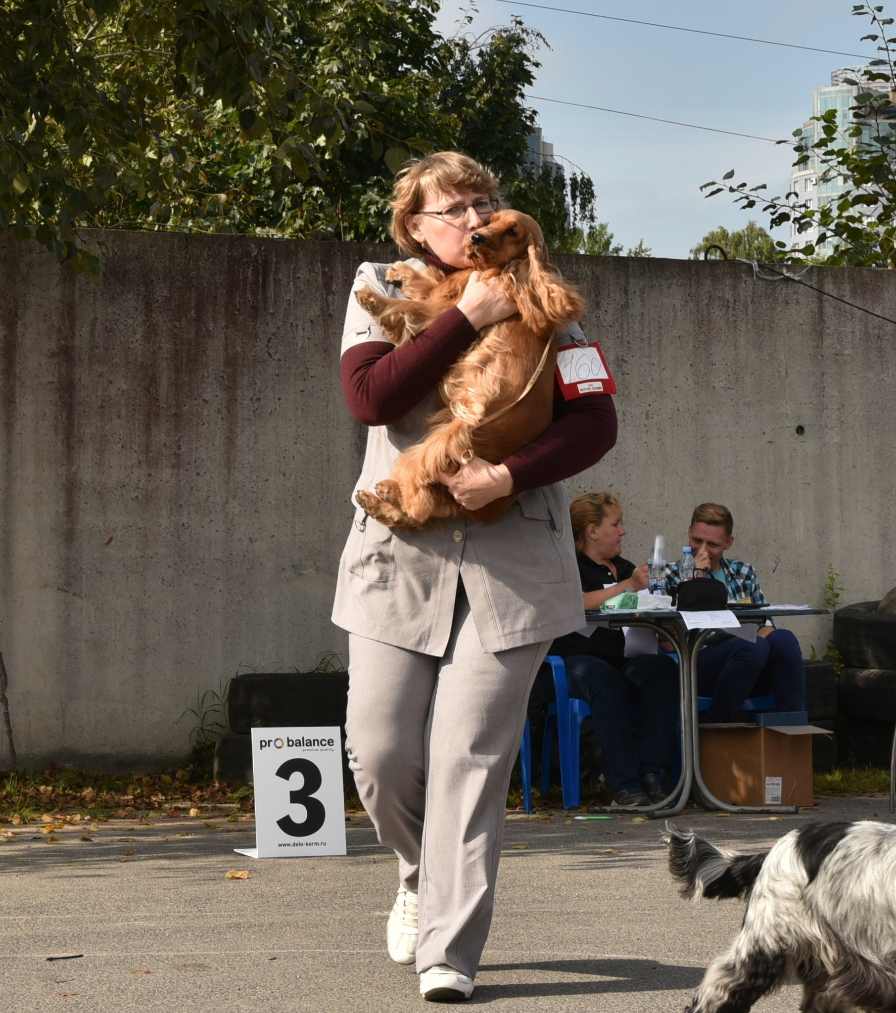 2015 г Результаты выставок. Питомник Йоркширских терьеров Дэнстайл в Санкт-Петербурге заводчик Тих