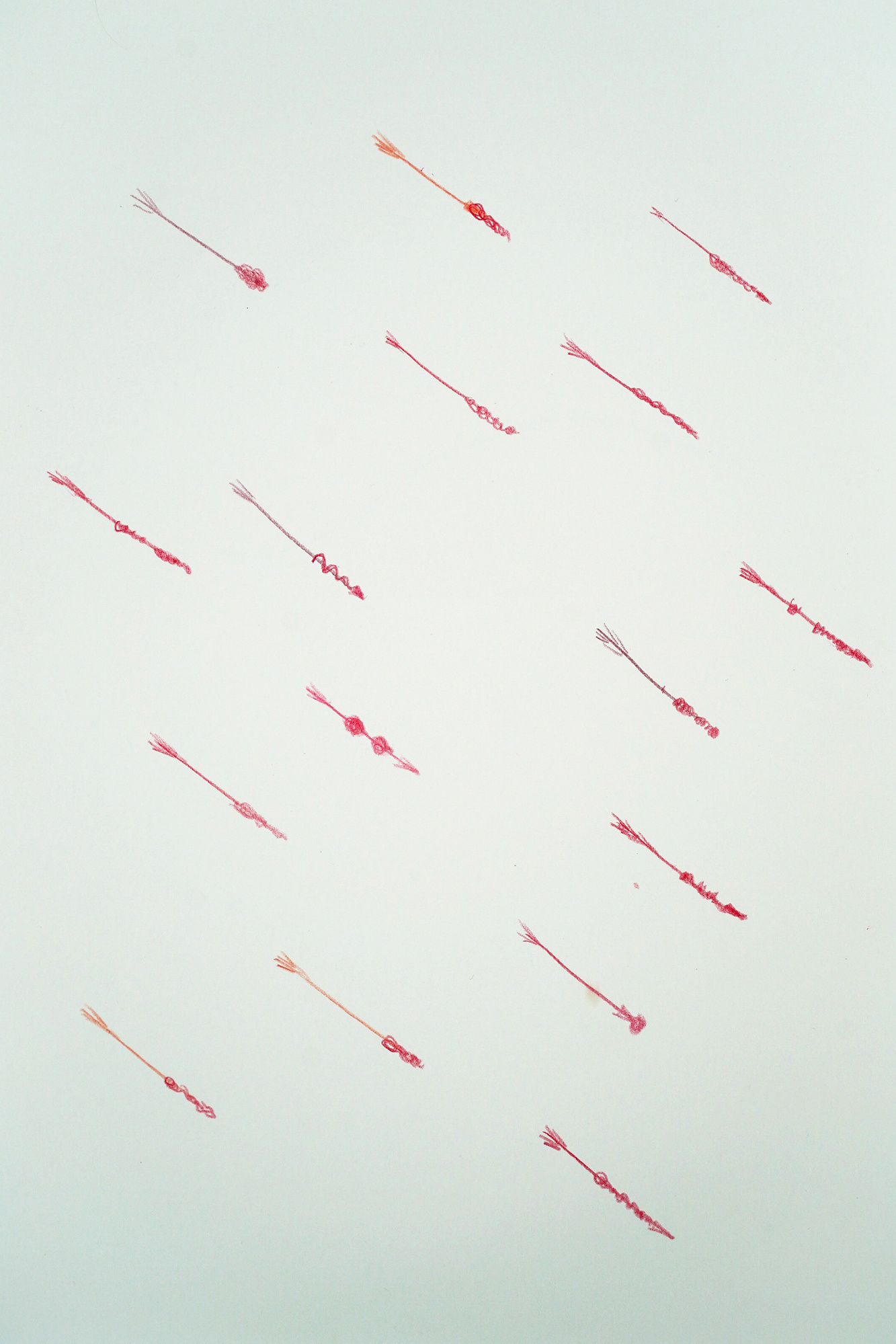 От Кунгака до Парижа