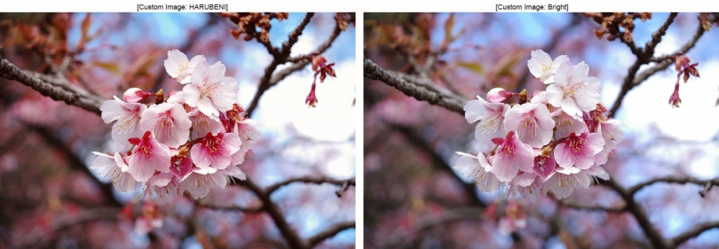 PENTAX Выпустил четвертое специальное издание HARUBENI. Фотограф — видеограф в Москве Дмитрий Менделеев