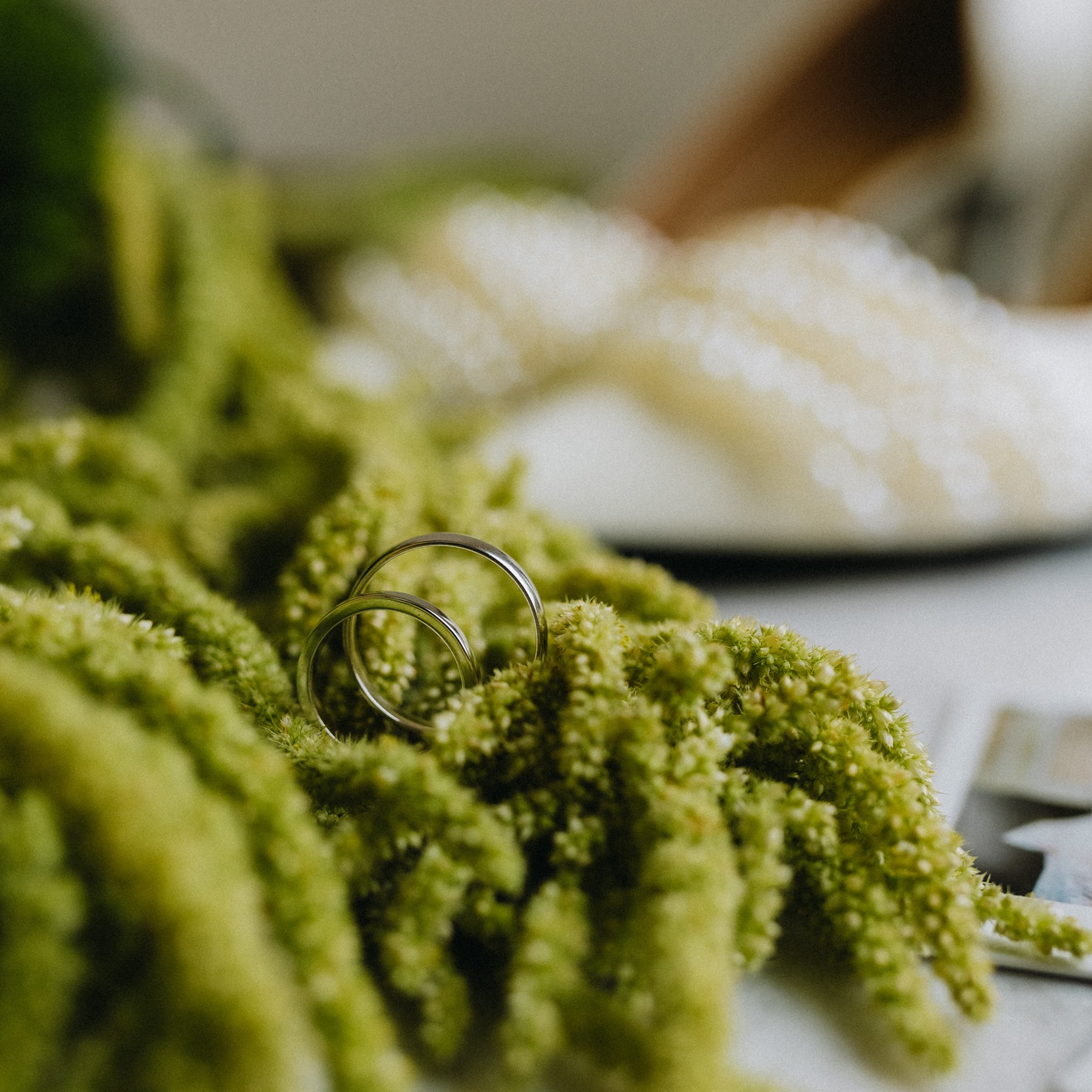 Пакеты свадебных услуг. Фотограф из Хабаровска Юлия Черёмушкина