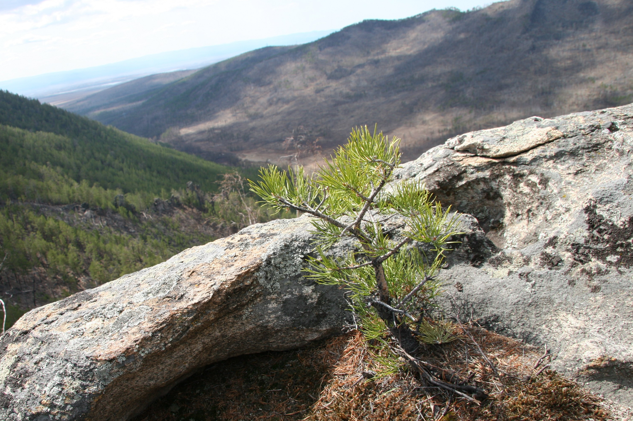 фото с высоты горы, дворцы Чита, Фотограф Максим Белослюдцев. Россия.