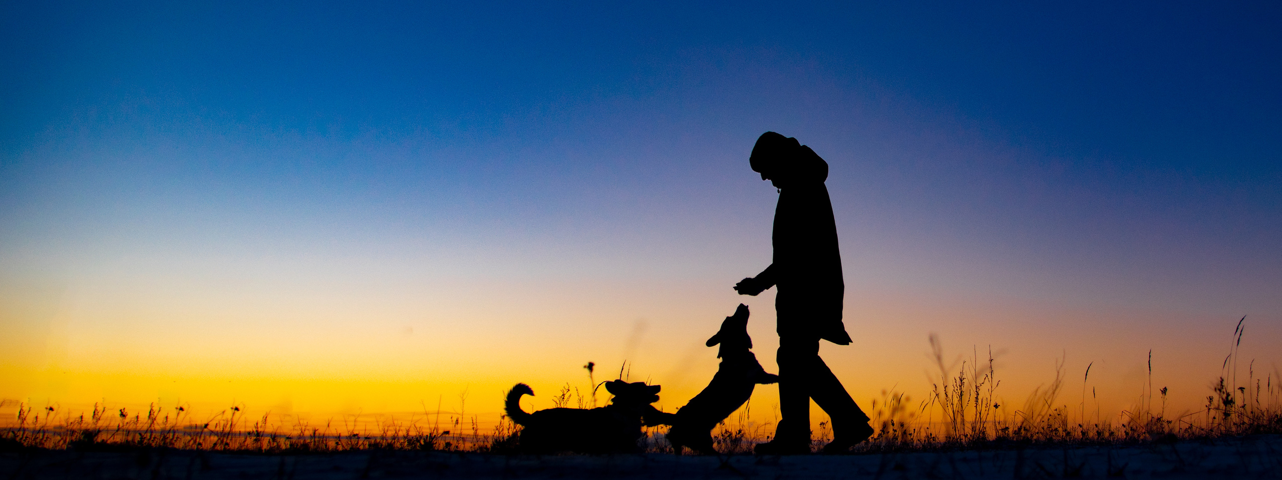 Фотограф-анималист Алёна Ковалёва