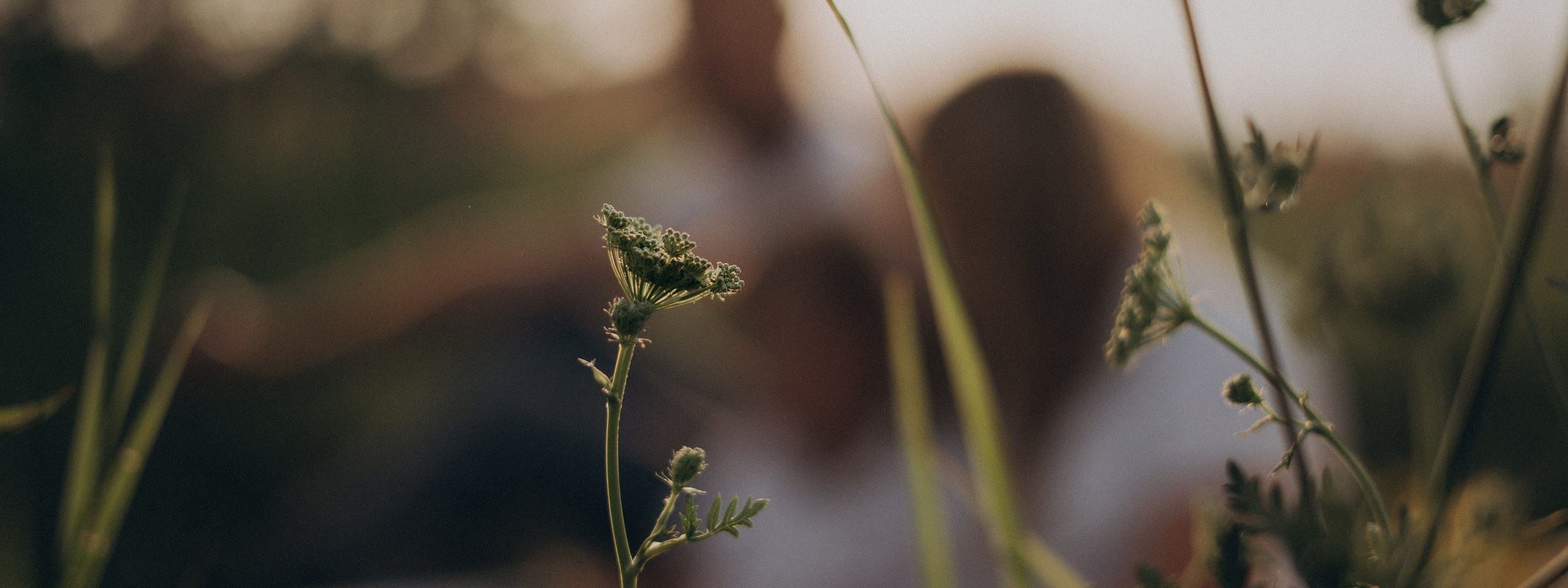 Прайс. Фотограф в Москве Юлия Резвова
