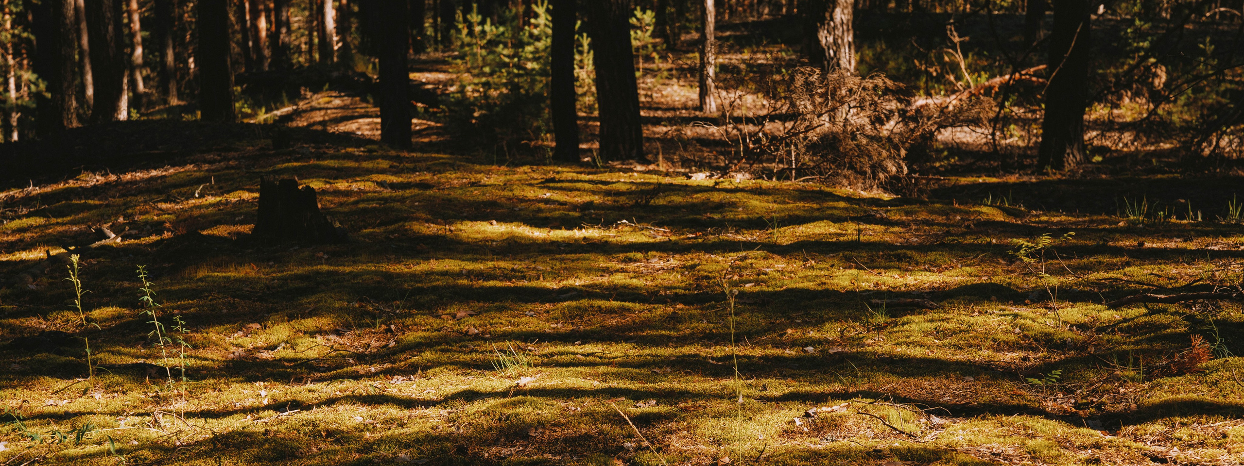 Нижний Новгород. Фотограф из Москвы — DASHA NOVA | Авторская фотография в разных жанрах