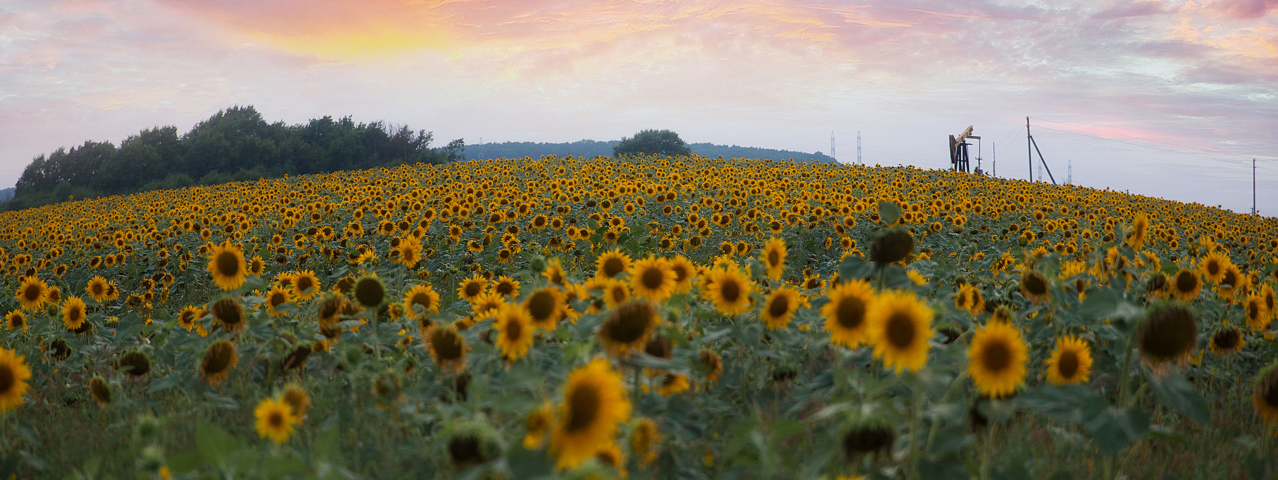 Контакты. Фотограф Любава Колесник. Выпускные альбомы в Крымском районе