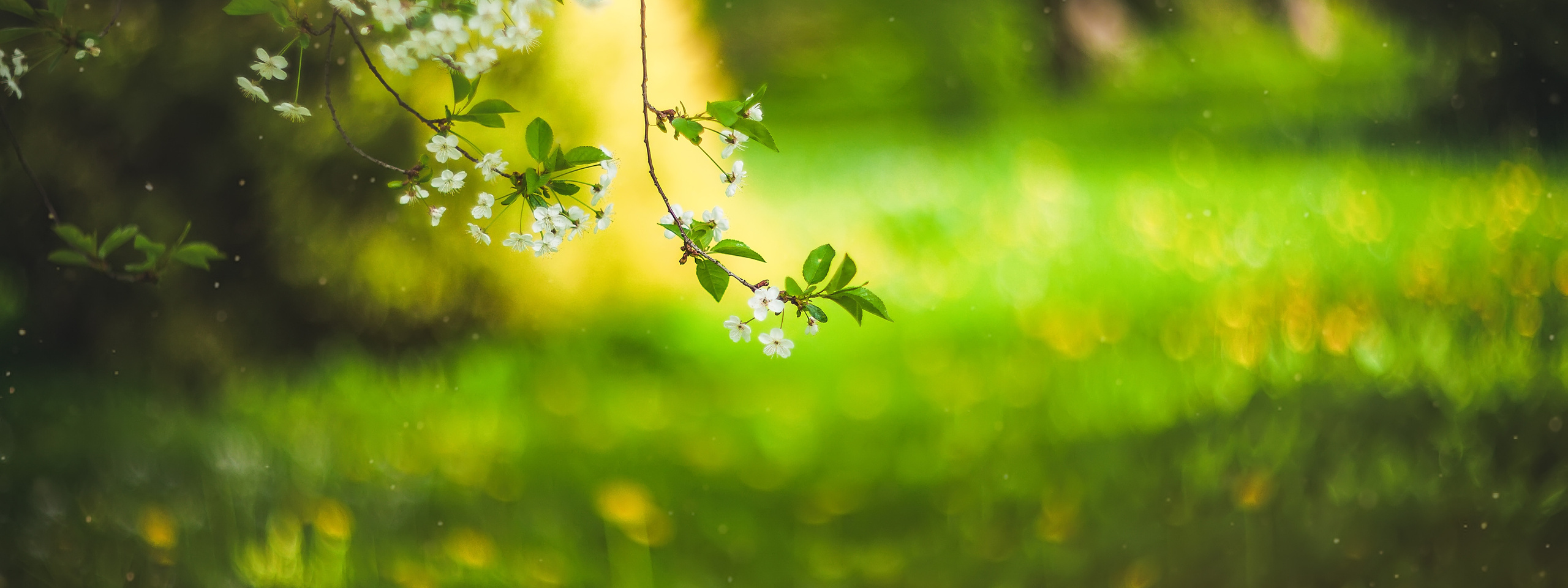 Контакты. Фотограф Вероника Весна| Санкт-Петербург | Питер | Спб | Петербург|
