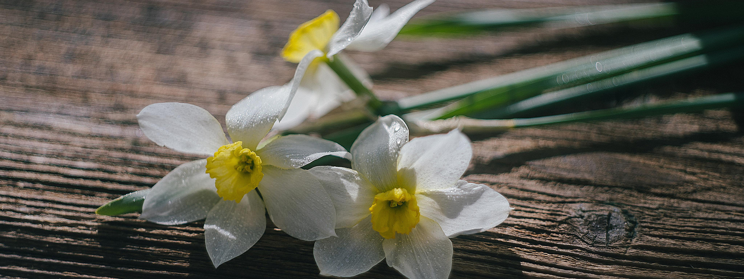 Контакты. Снимаю жизнь ❤