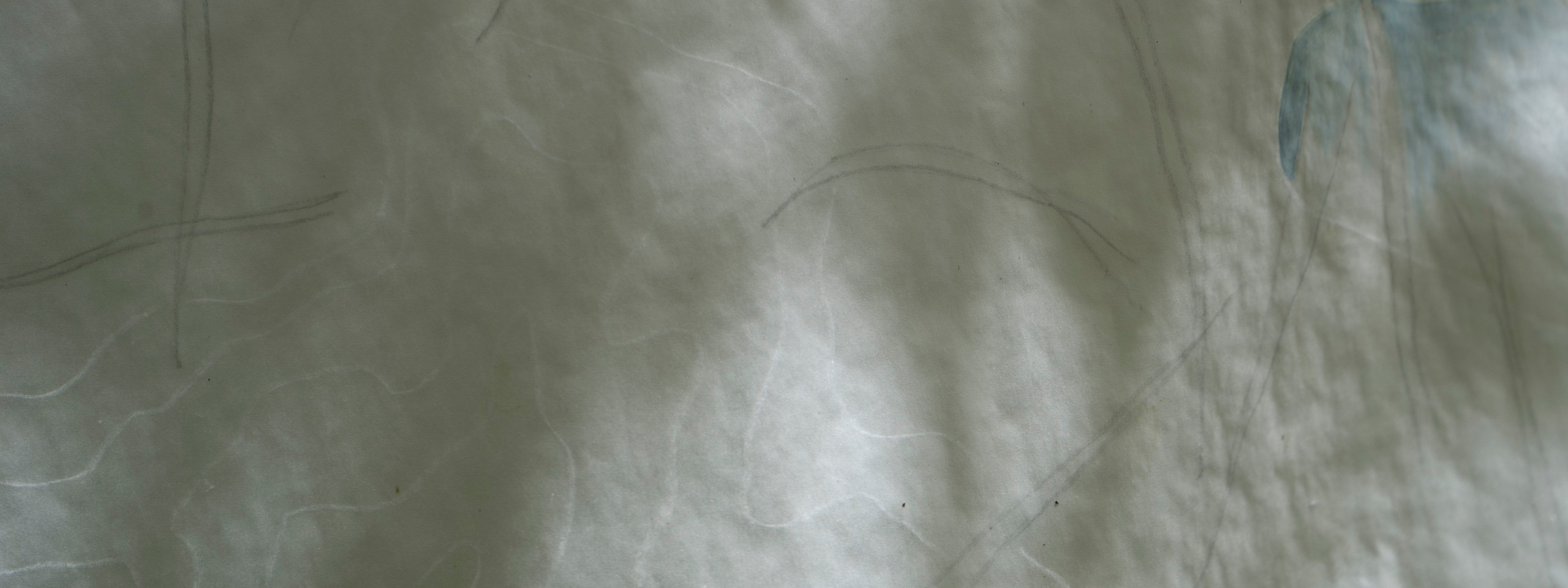 FANTOM MAP OF THE MOTHERLAND. Xexexena.ru