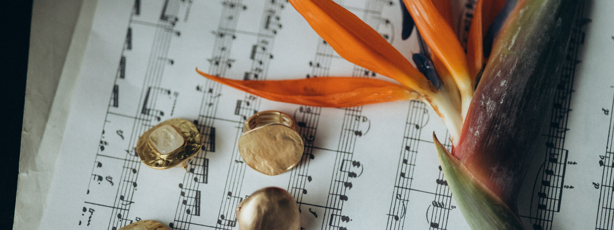 Контакты. Юлия Пробер фотограф в Санкт-Петербурге