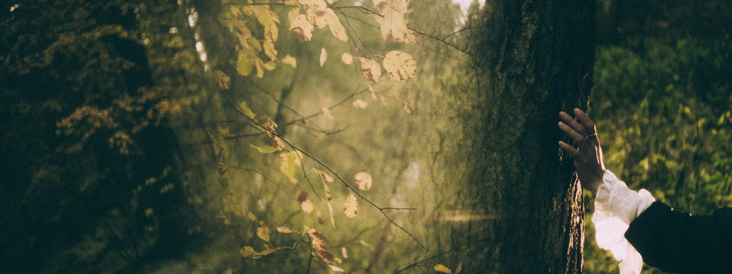 Контакты. Старкова Кристина фотограф Пермь