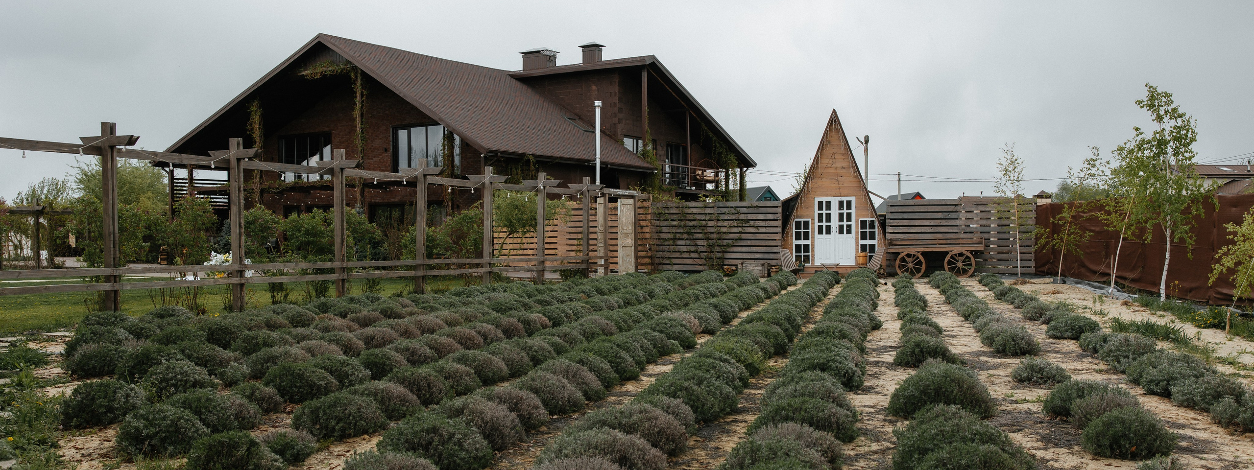 Пакеты фото + видео. Алена Бадамшина — свадебный фотограф Воронеж / Москва