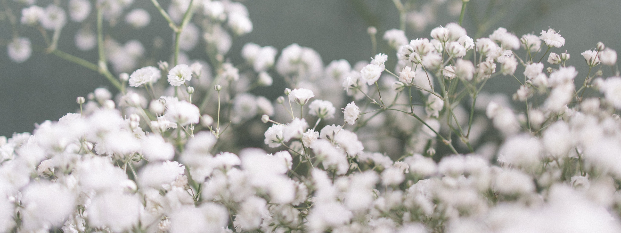 Frühlings-Fototag zum Weltfrauentag!. Fotografin in München Dasha Antipina