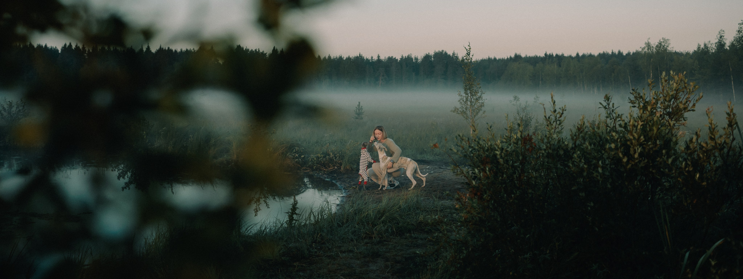 Контакты. Фотограф- анималист Александра Матвеева