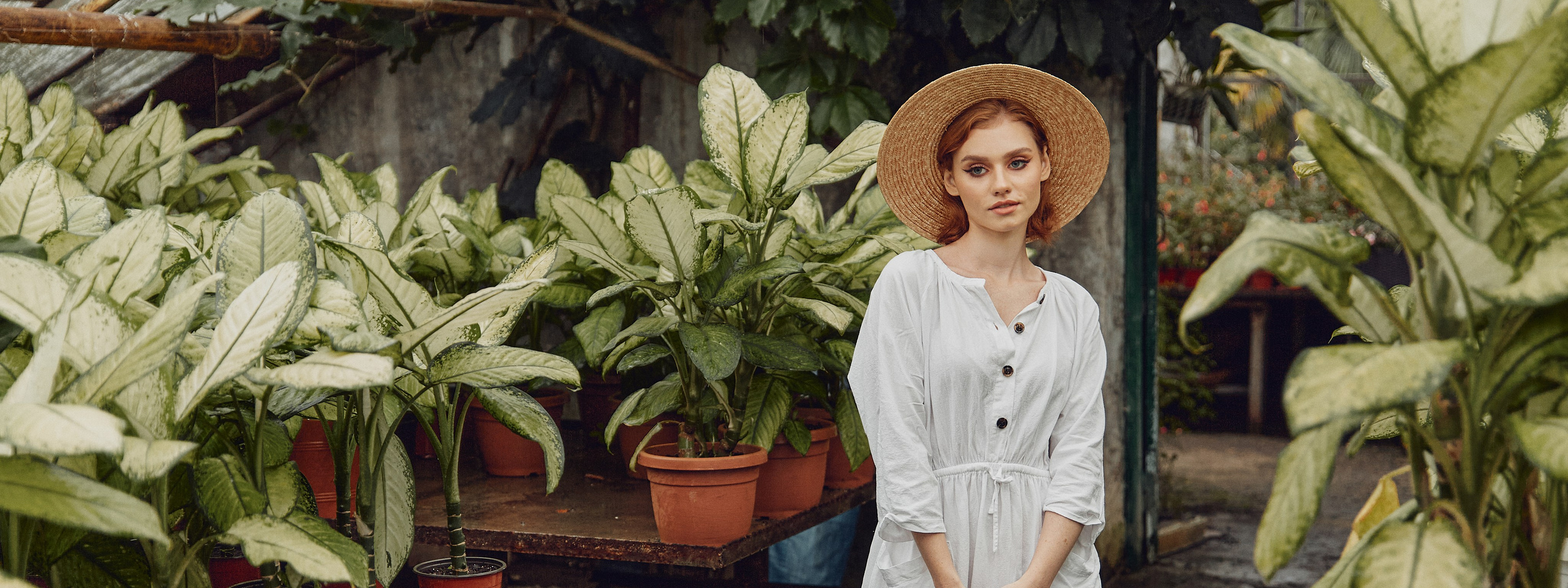 Старая оранжерея