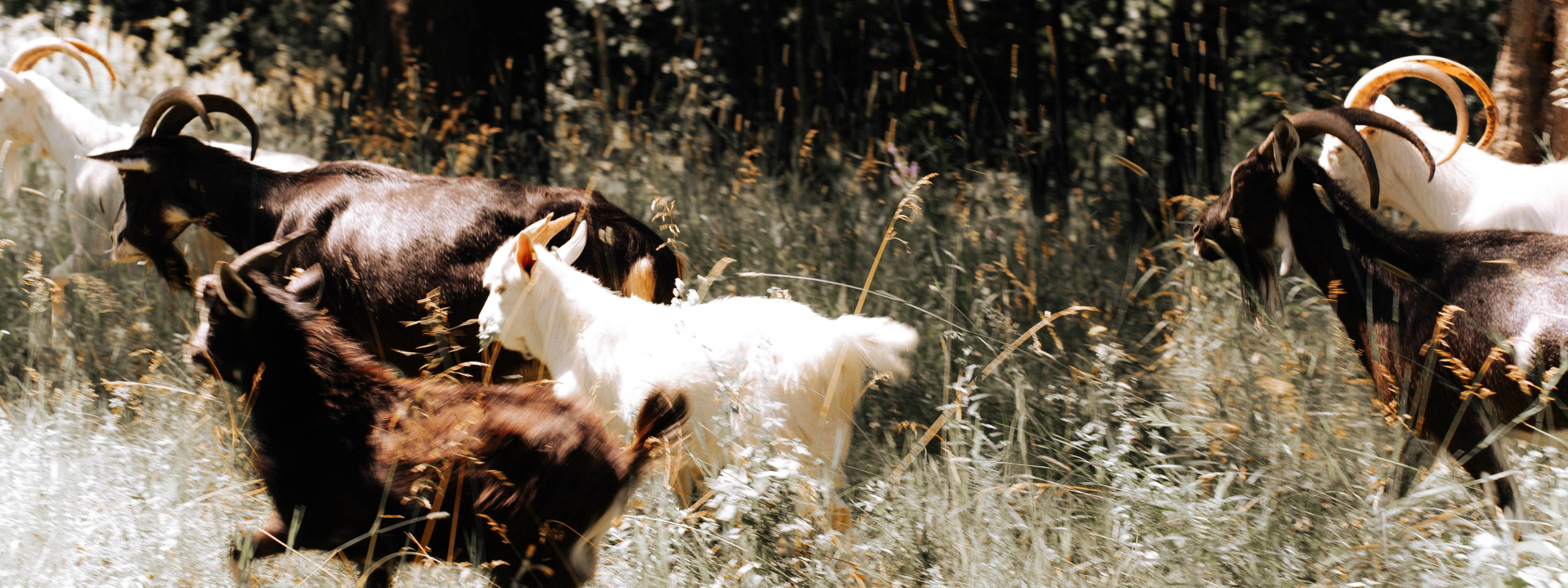 Нижний Новгород. Фотограф из Москвы — DASHA NOVA | Авторская фотография в разных жанрах
