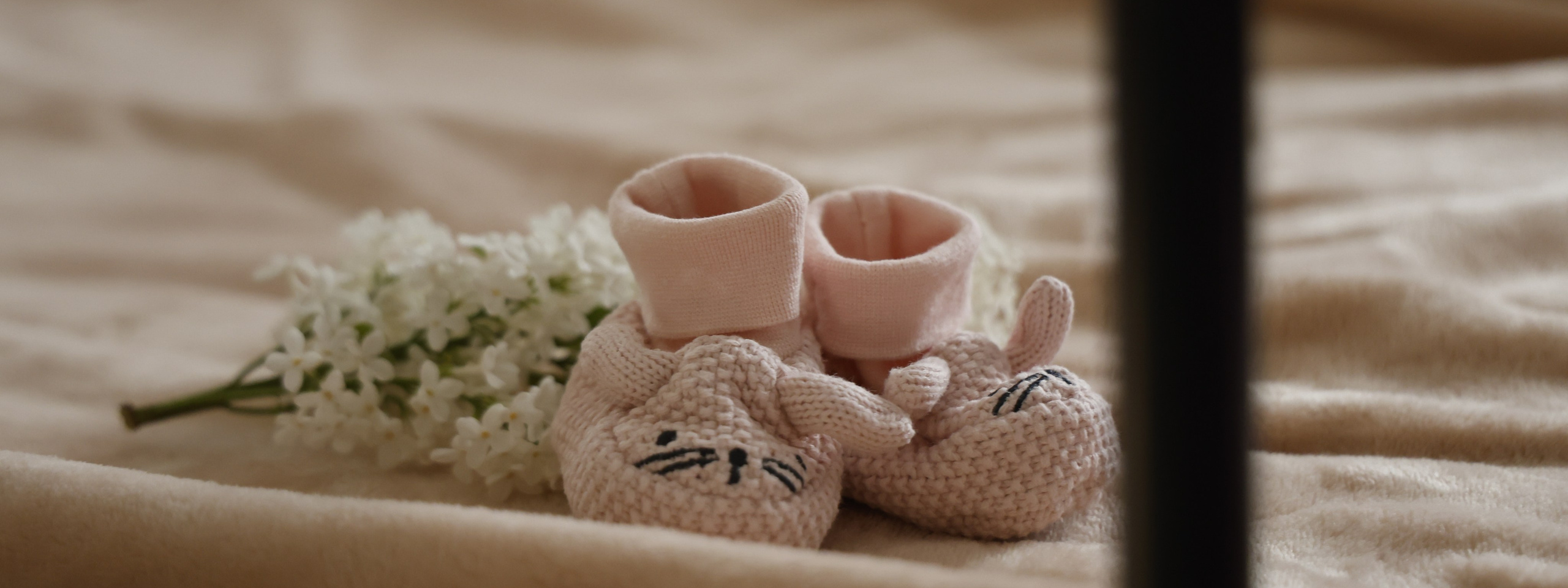 Контакты. Фотослужба «Два Сердца»