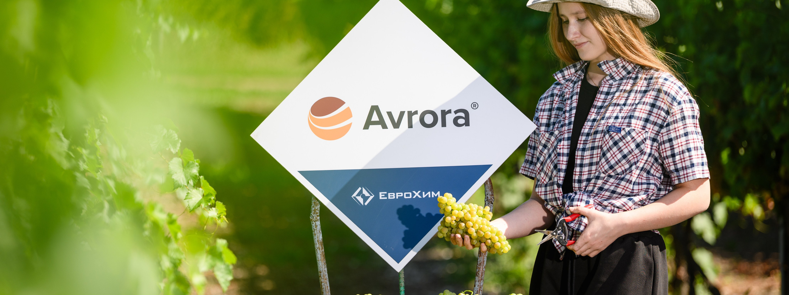 Проекты. Профессиональный фотограф Вячеслав Плацында | Липецк |