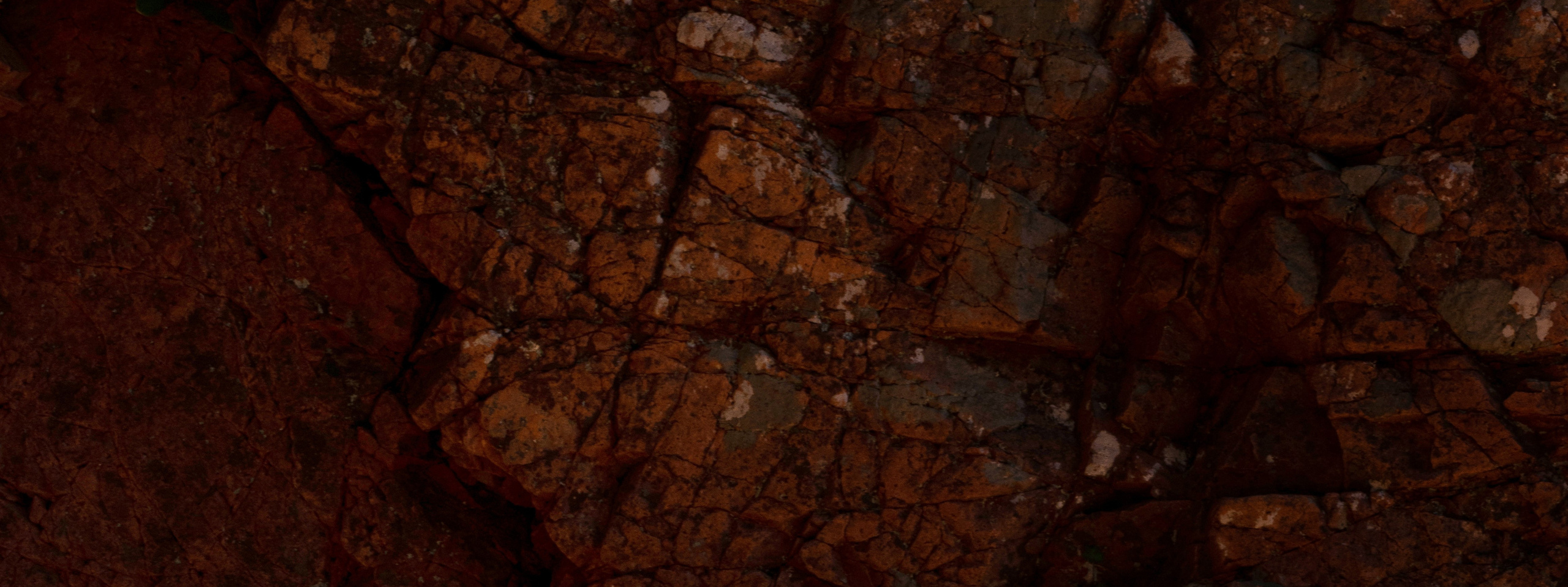 Контакты. Фотограф Марина Семенова г. Владивосток