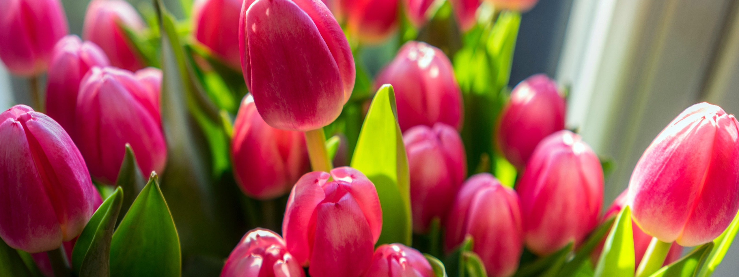 Живые цветы!. Фотостудия LIGHT в Люберцах