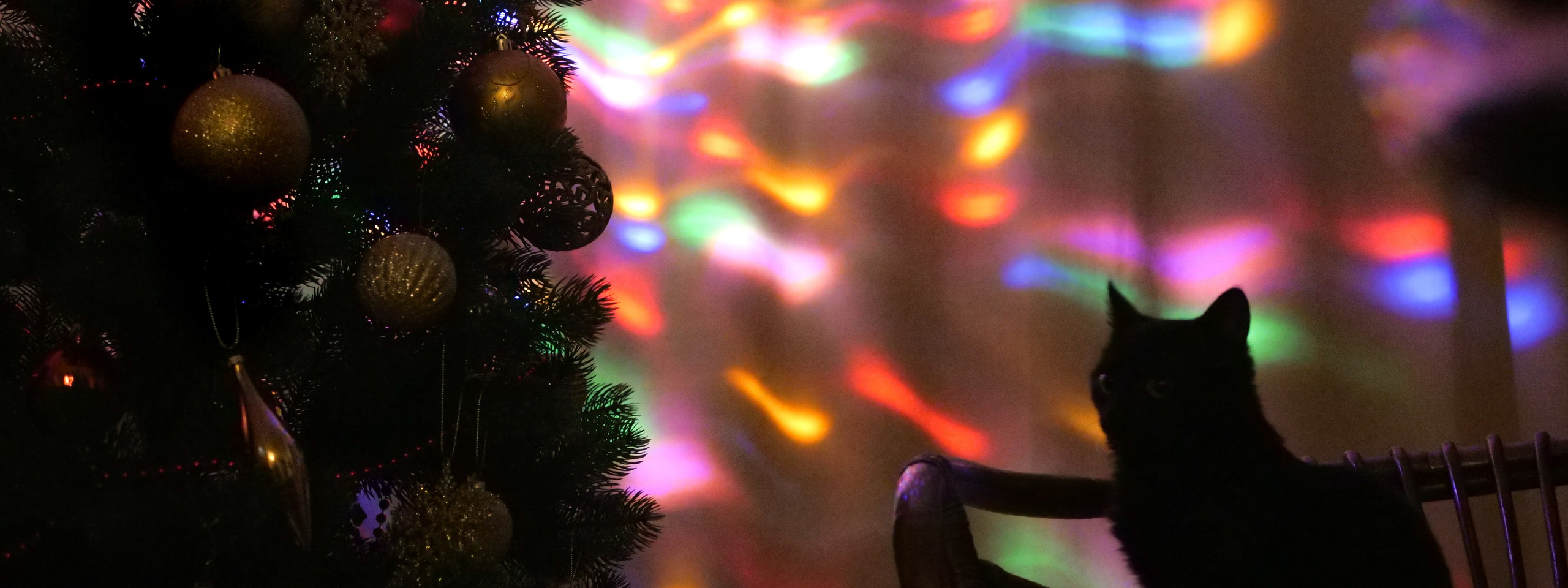 Руслан Шувалов (поэтограф)