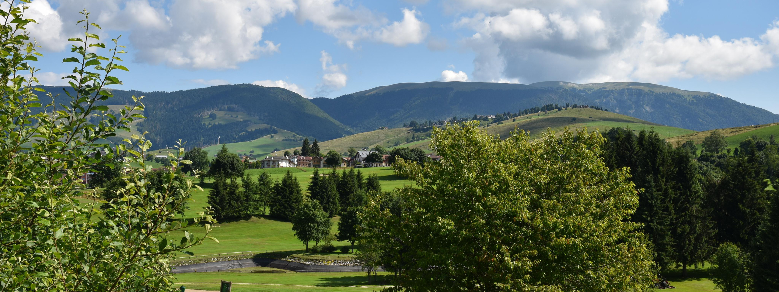 Цены и виды фотосессий. Фотограф Елена Сасс Москва