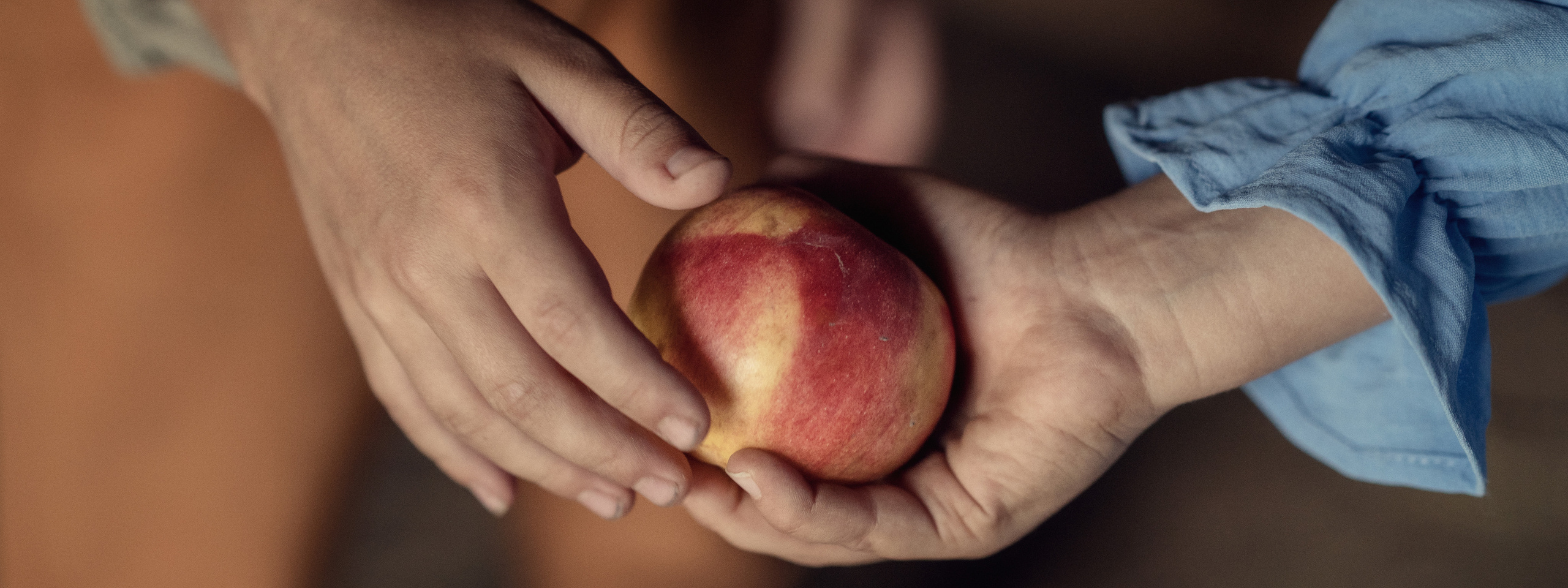 Контакты. Семейный фотограф Новая Рига (Звенигород, Истра) Евгения Литовченко