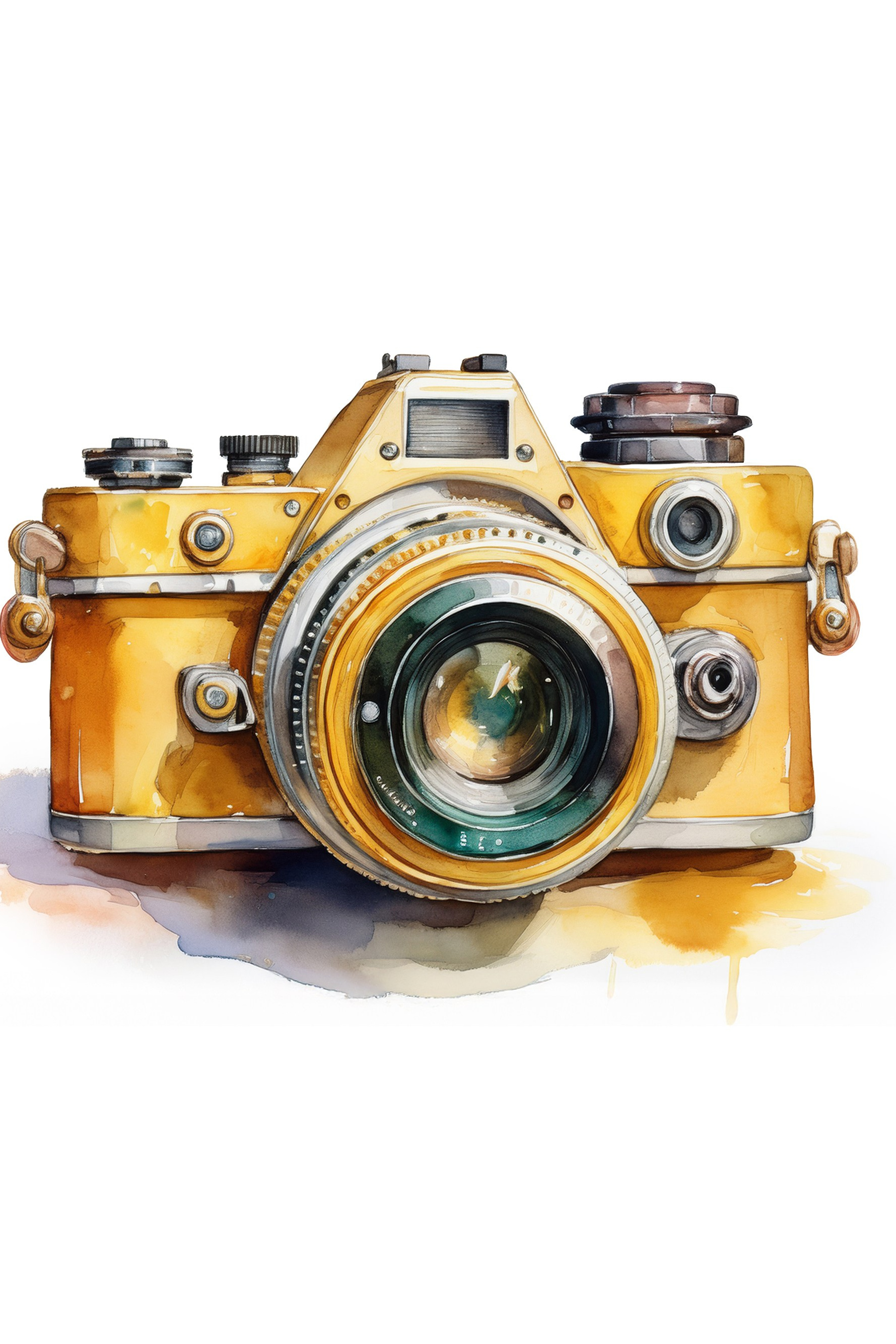 Контакты. Фотомастерская чёзаФОТО — г. Новосибирск, Академгородок