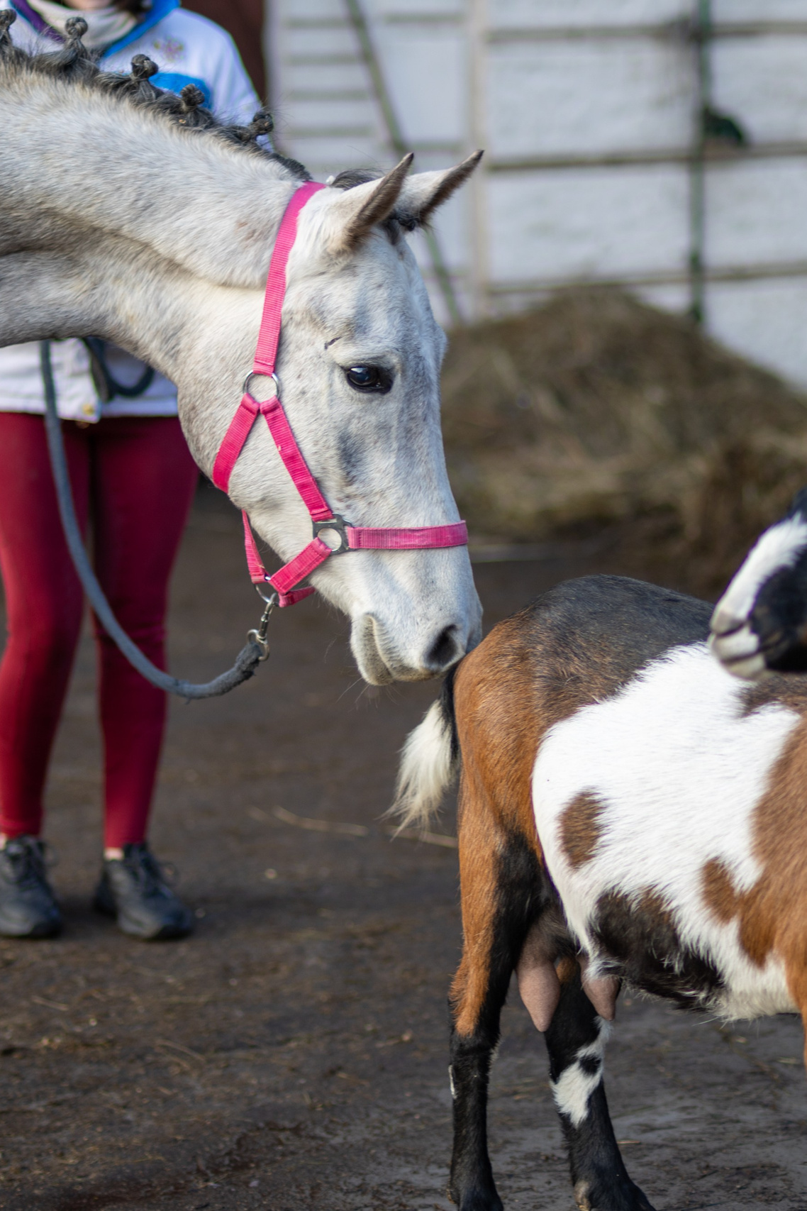 Услуги. Главная