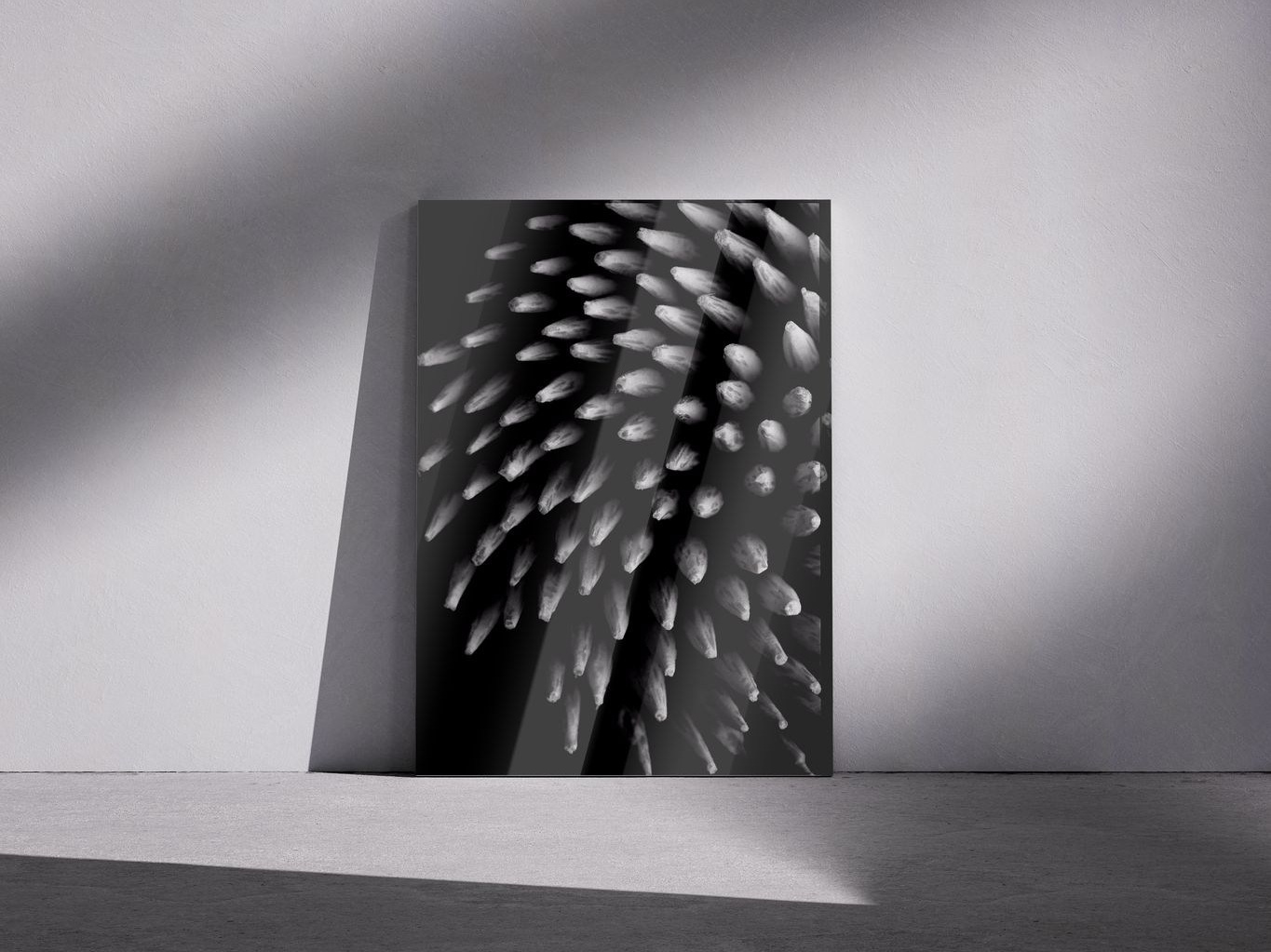 Галерея. Владимир Вохмянин. Фотограф в Санкт-Петербурге