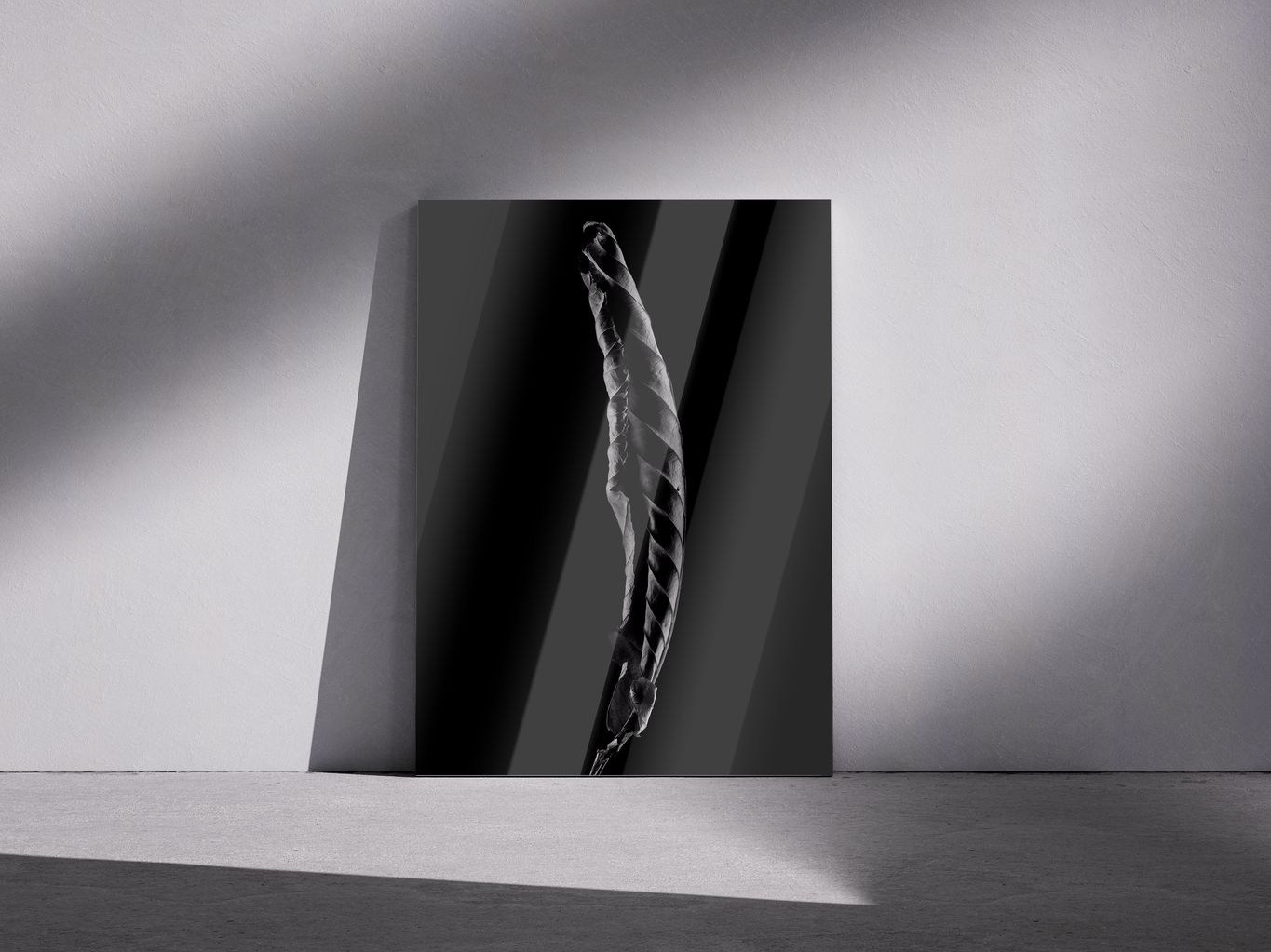 Галерея. Владимир Вохмянин. Фотограф в Санкт-Петербурге