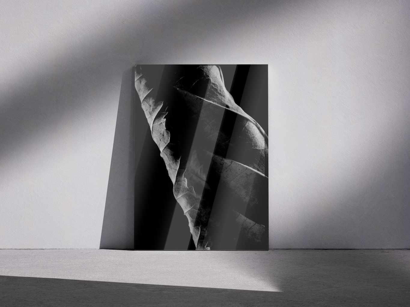 Галерея. Владимир Вохмянин. Фотограф в Санкт-Петербурге