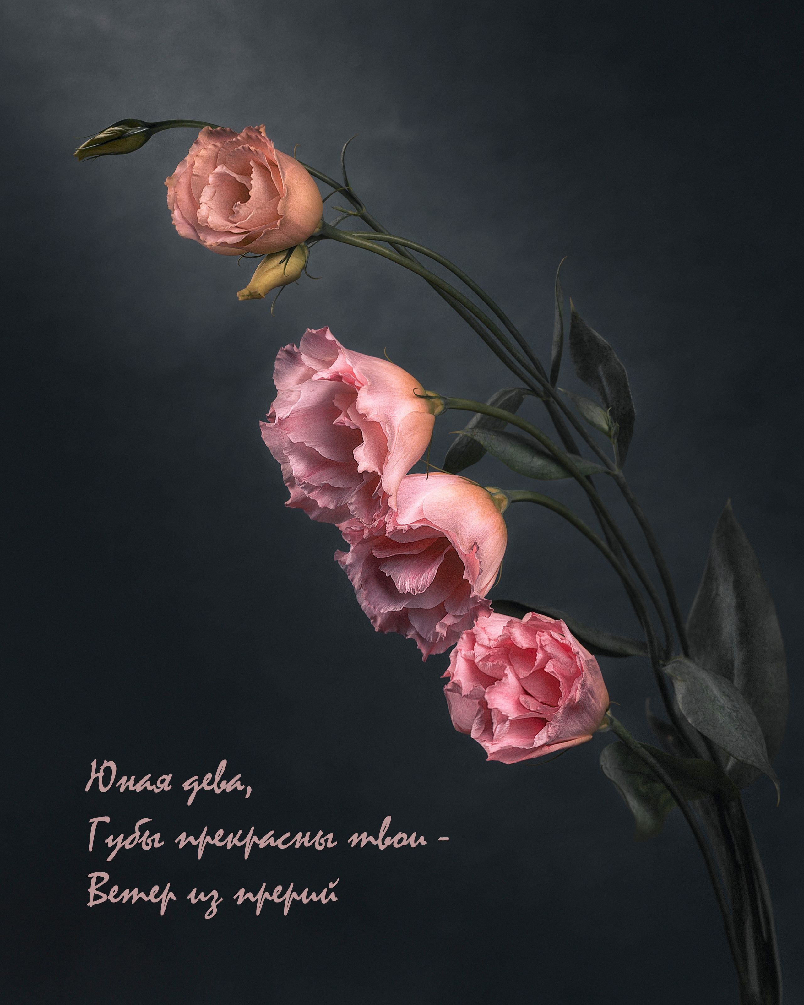 Фотопроект «Primavera». Портретный фотограф в Челябинске Катерина Руди