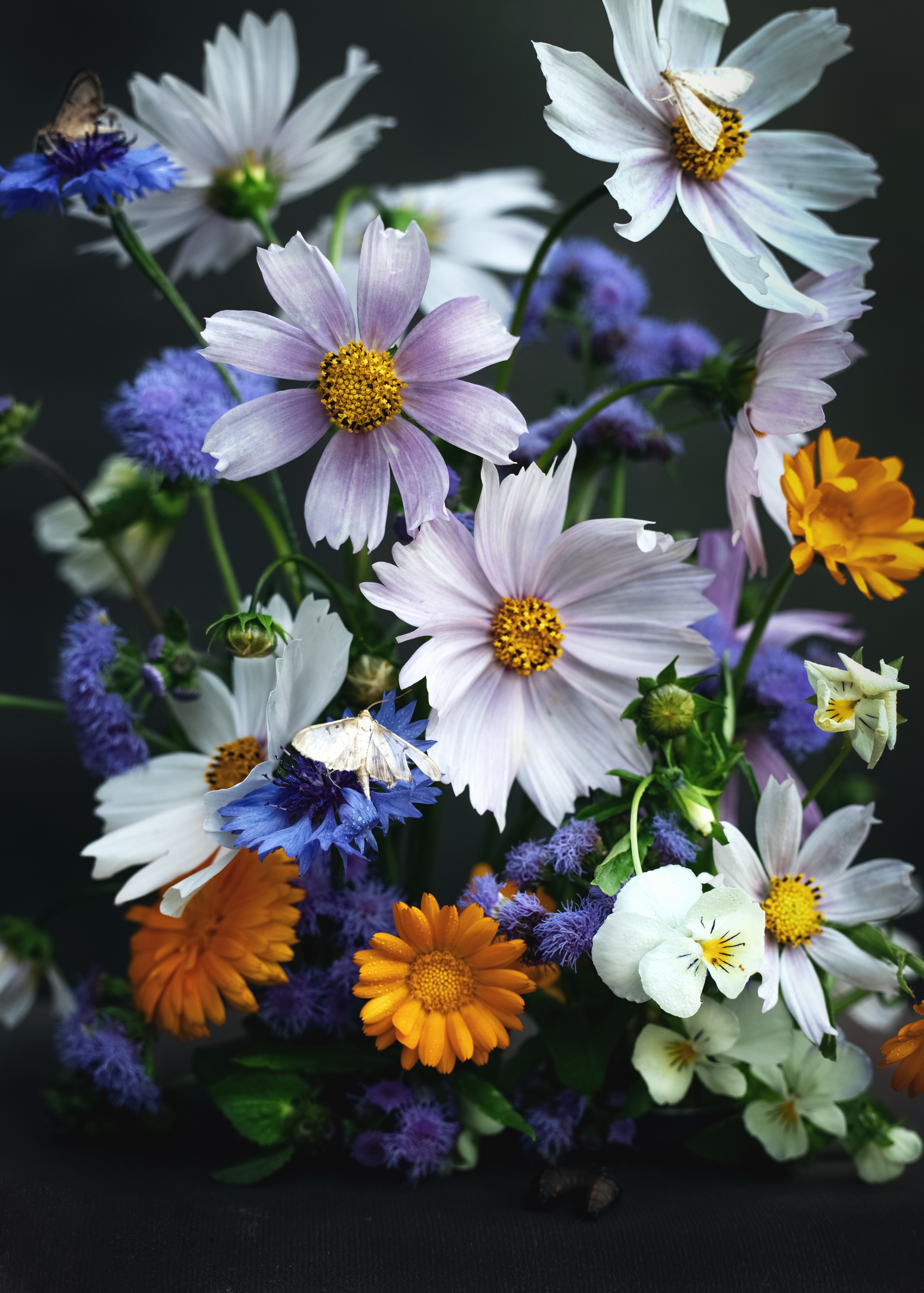 НАТЮРМОРТЫ